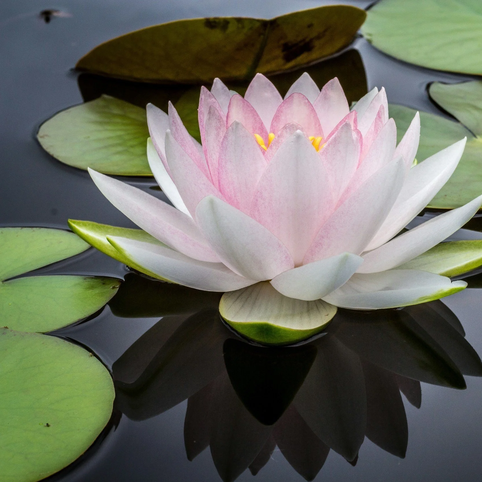 What to Expect in Trauma-Informed Therapy