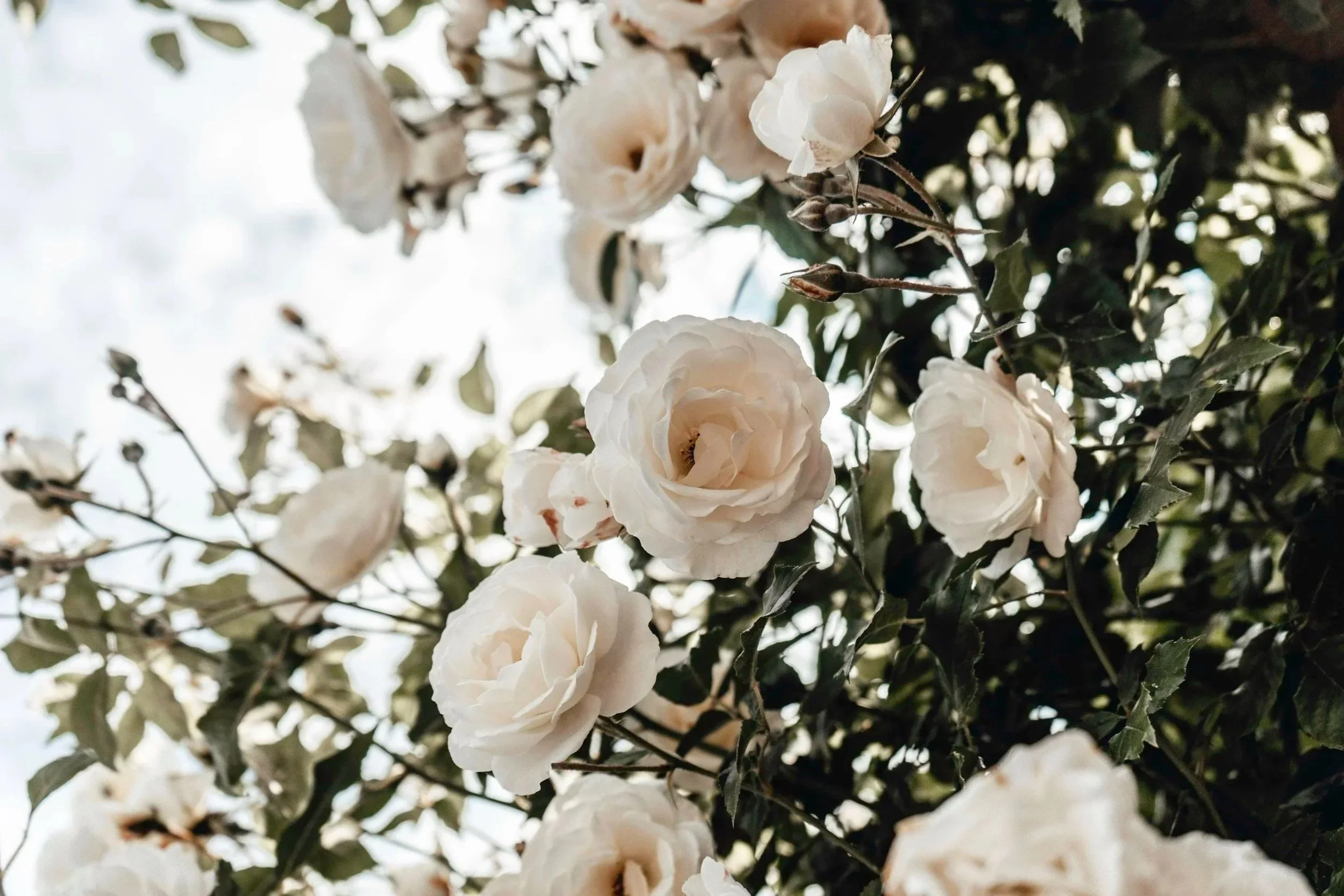When Purity Culture Looks Like Sexual Trauma