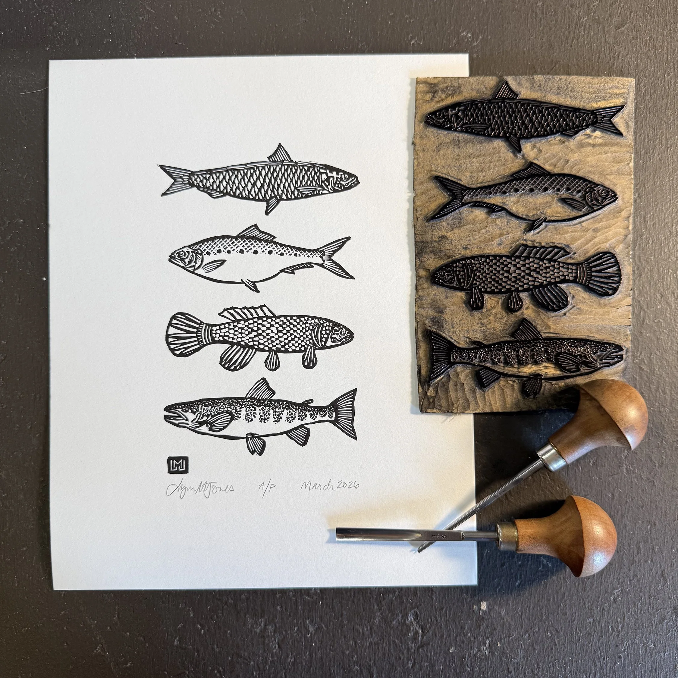 fishy fish setup SQ.jpg