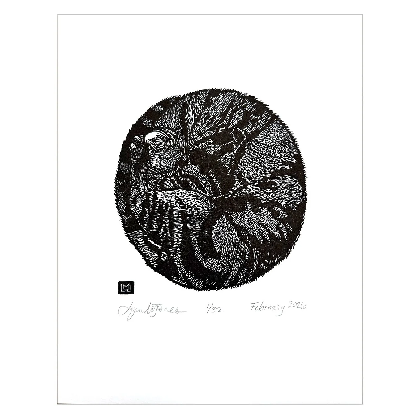 circle cat SQ BRIGHT.jpg