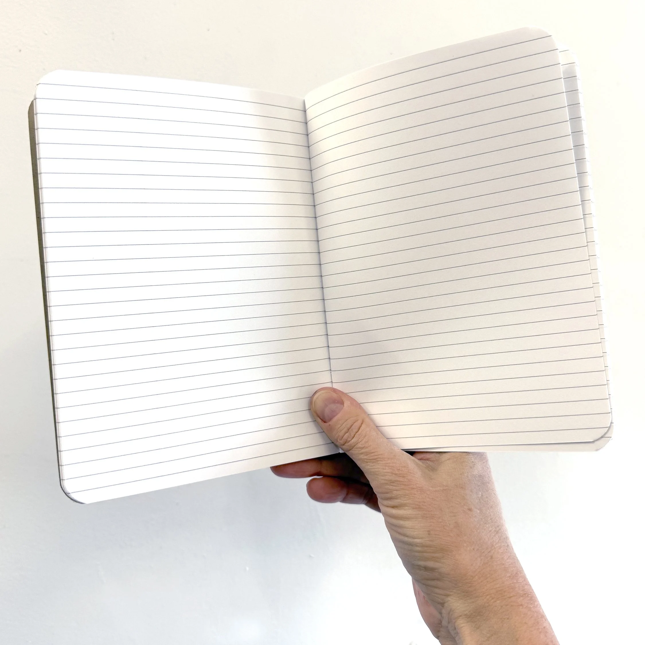 large lined notebook.jpg (Copy)