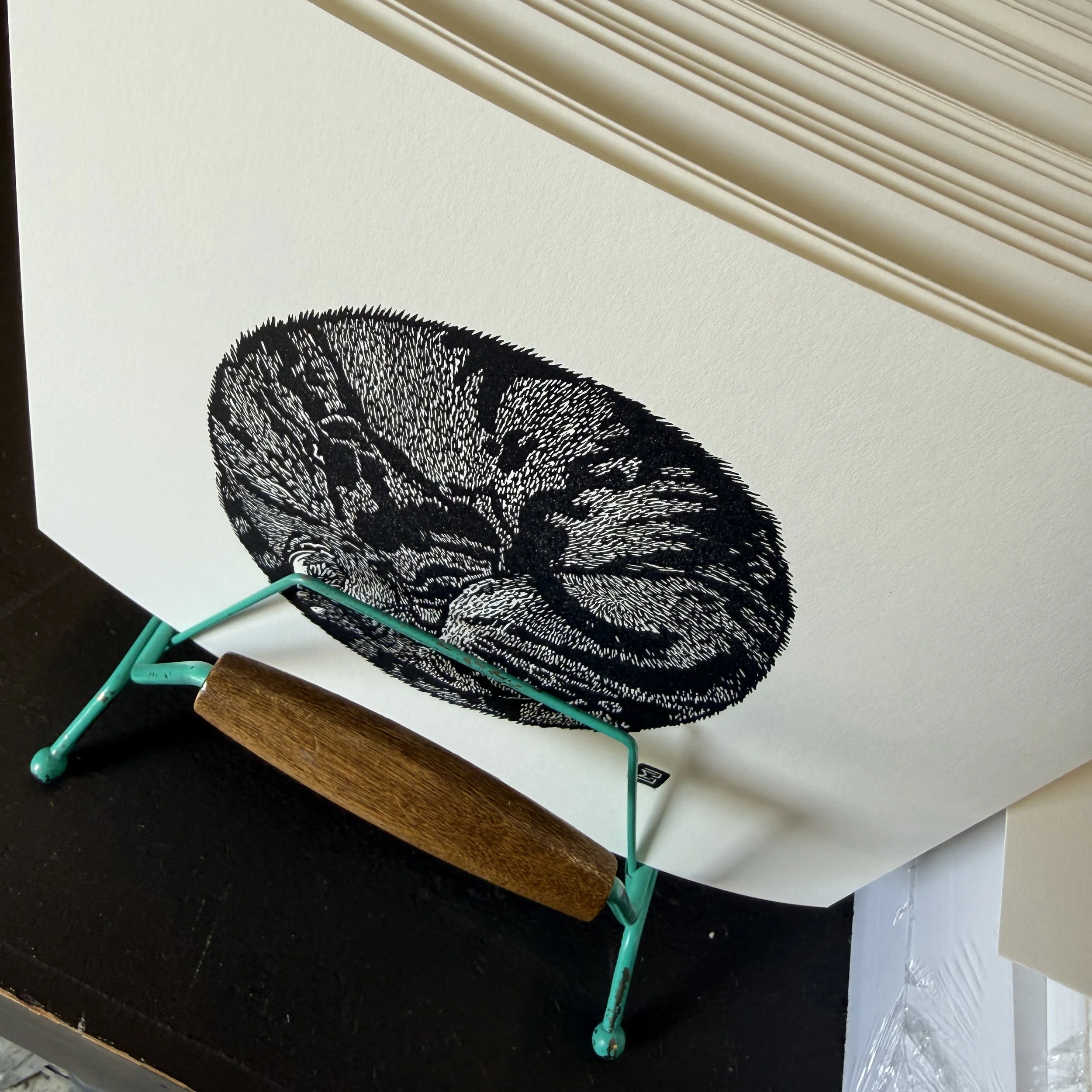 circle cat edition rack.jpg