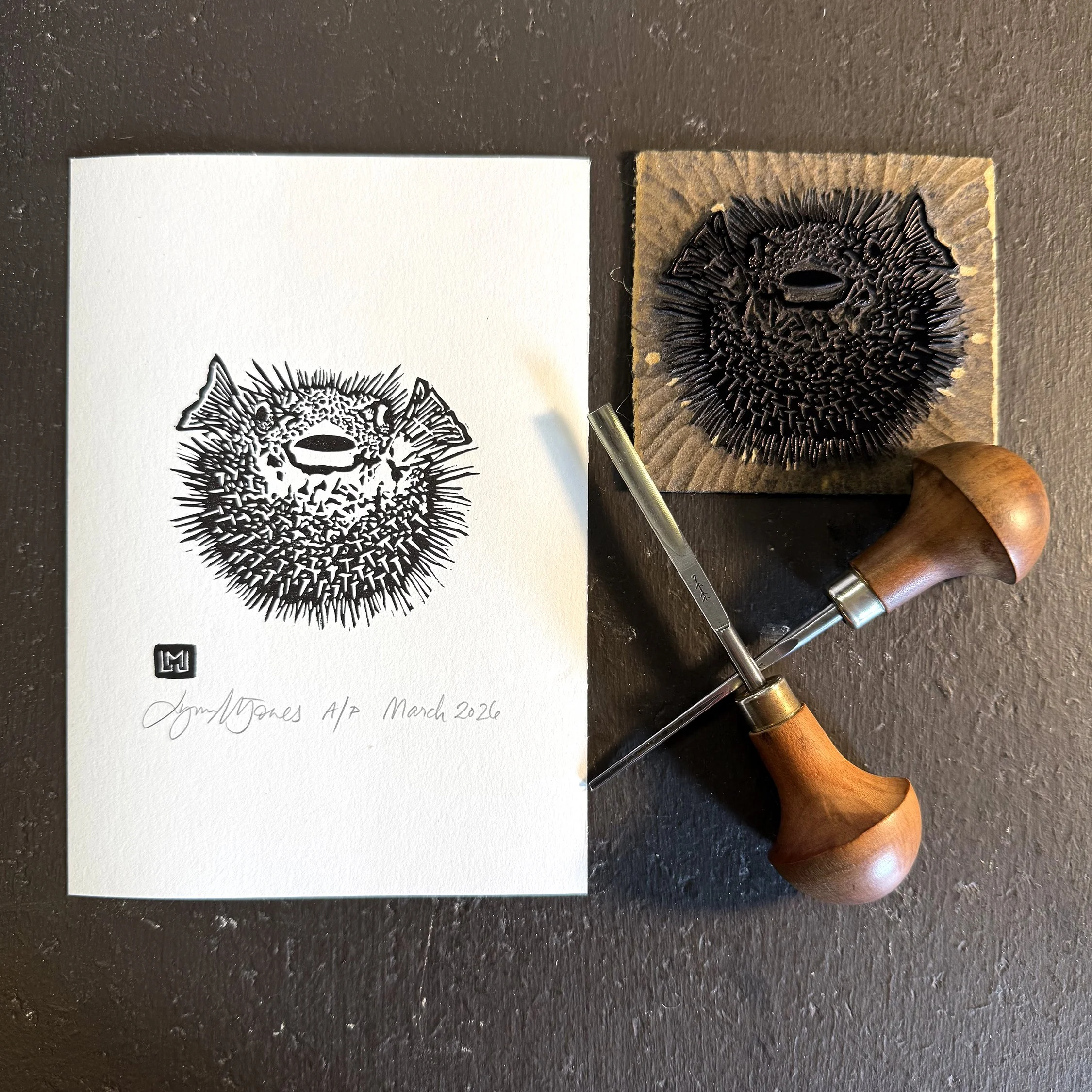 puffer fish setup SQ.jpg
