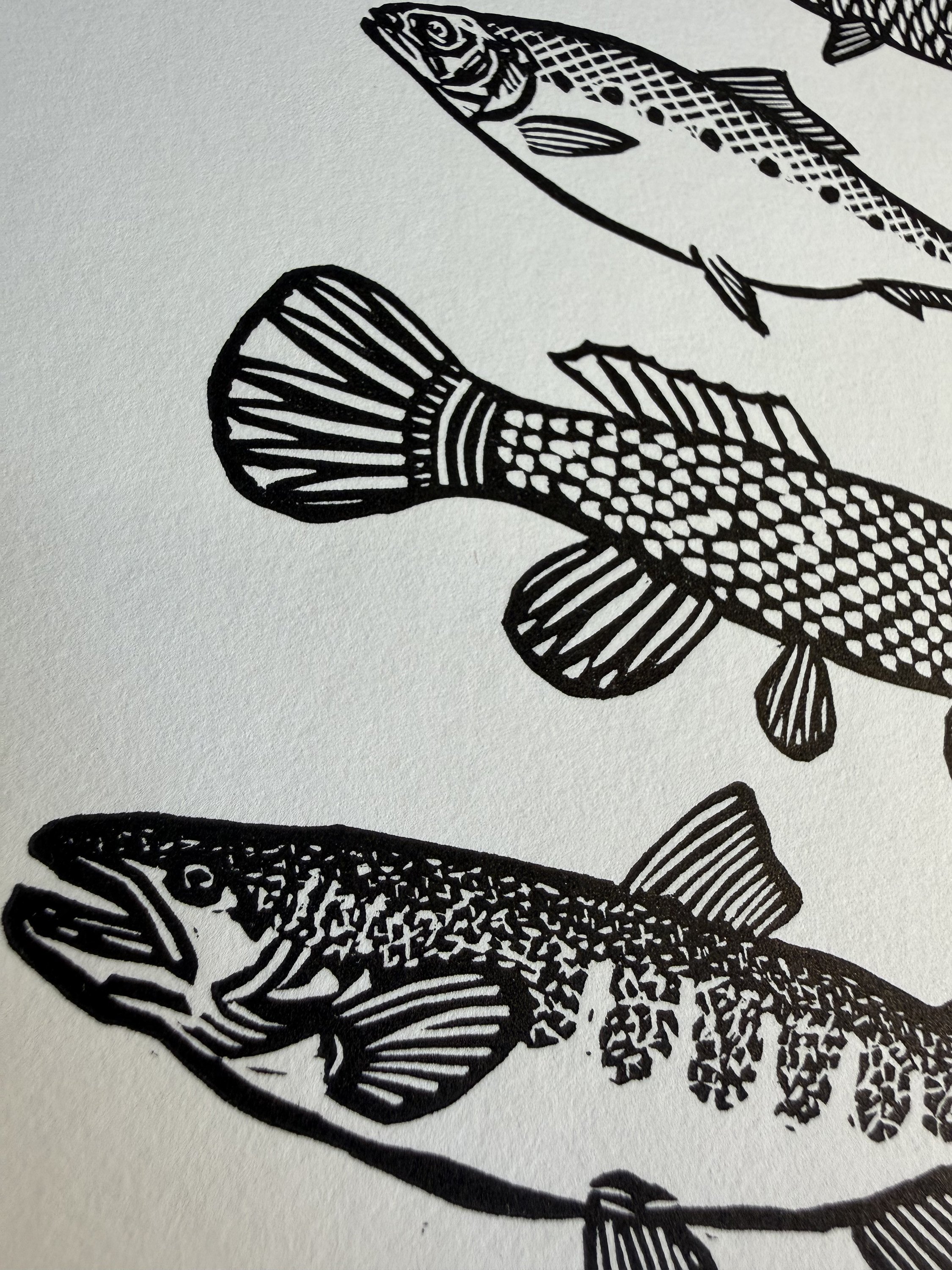 fishy fish closeup.jpg