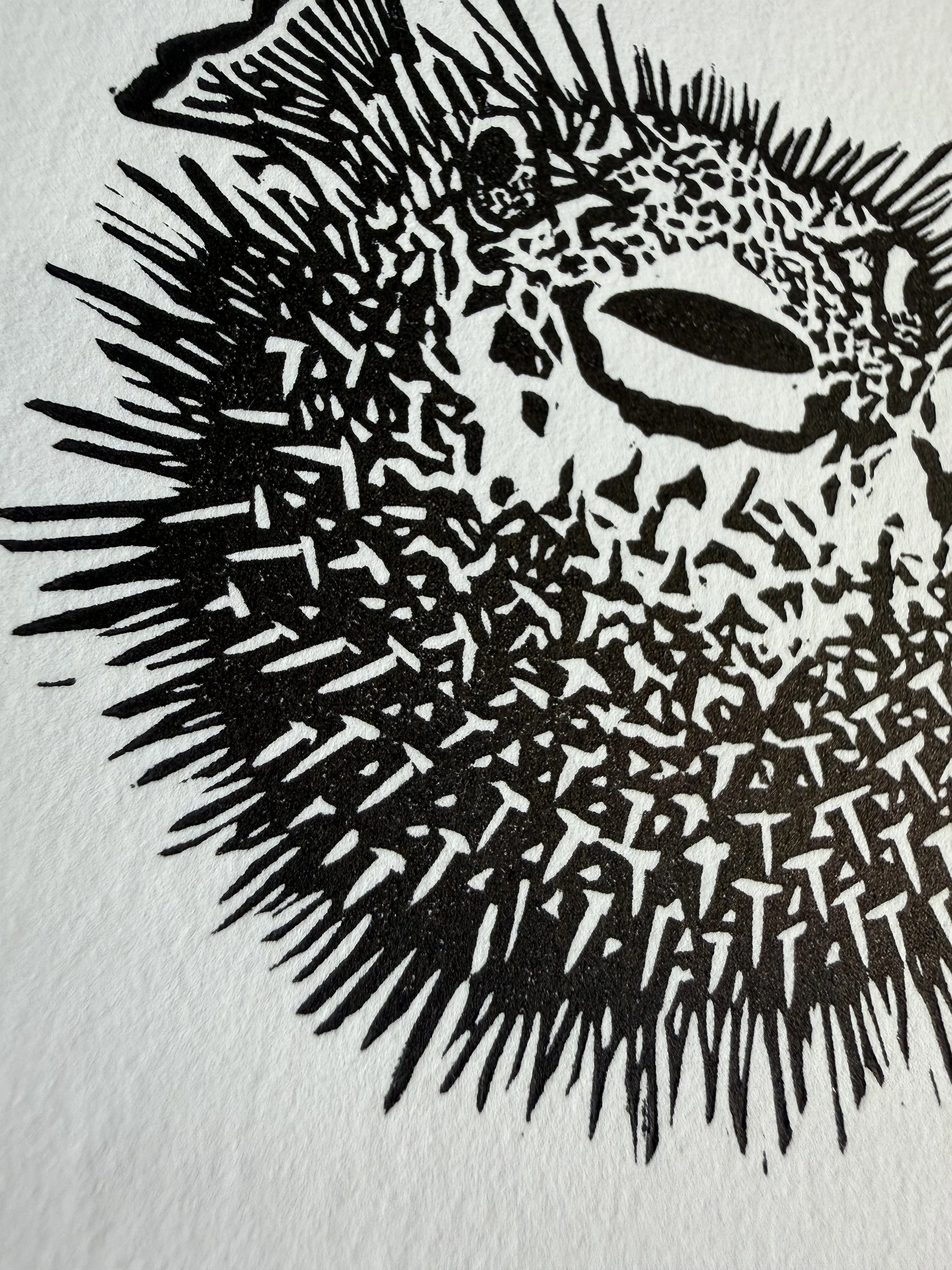 puffer fish closeup.jpg