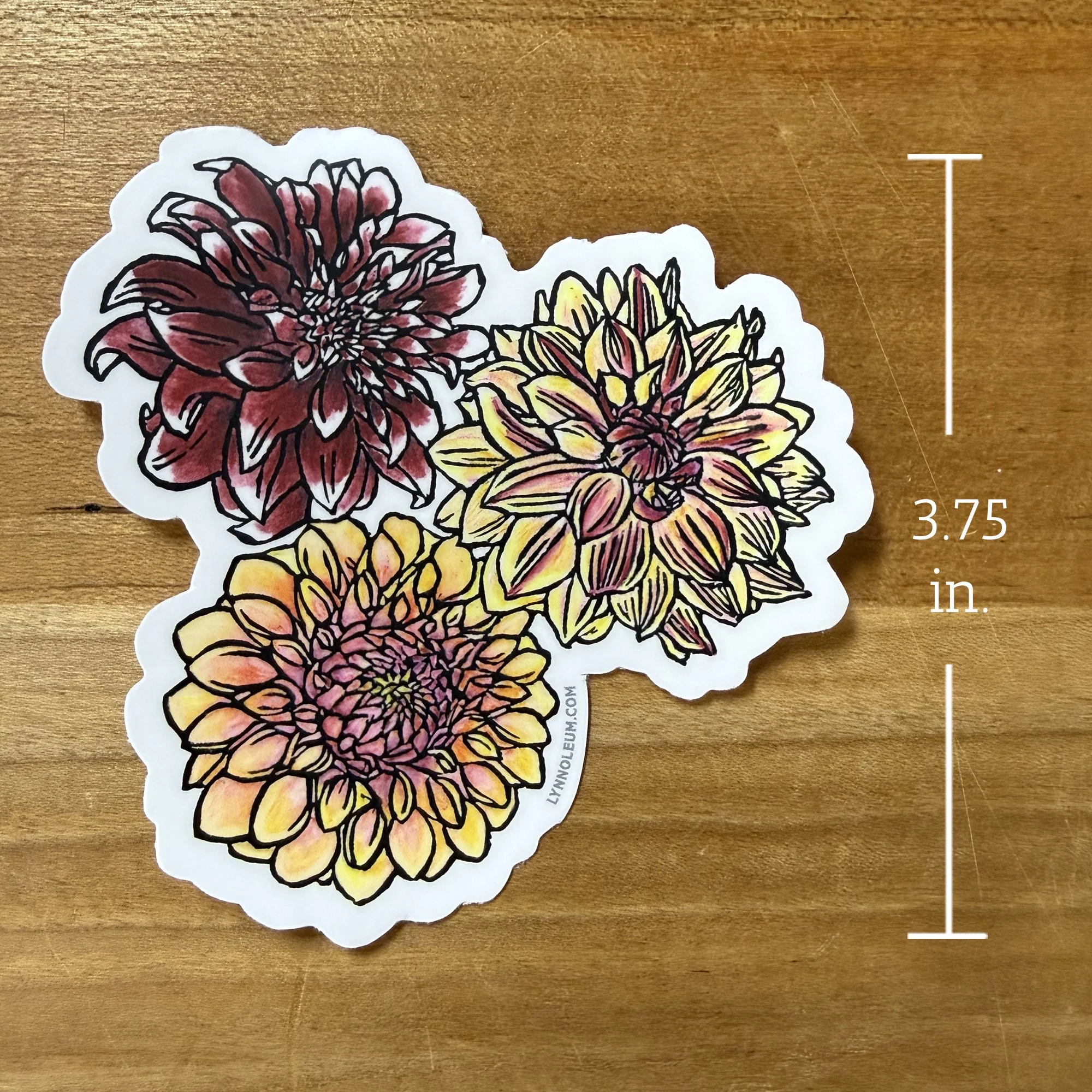 Dahlias STICKER