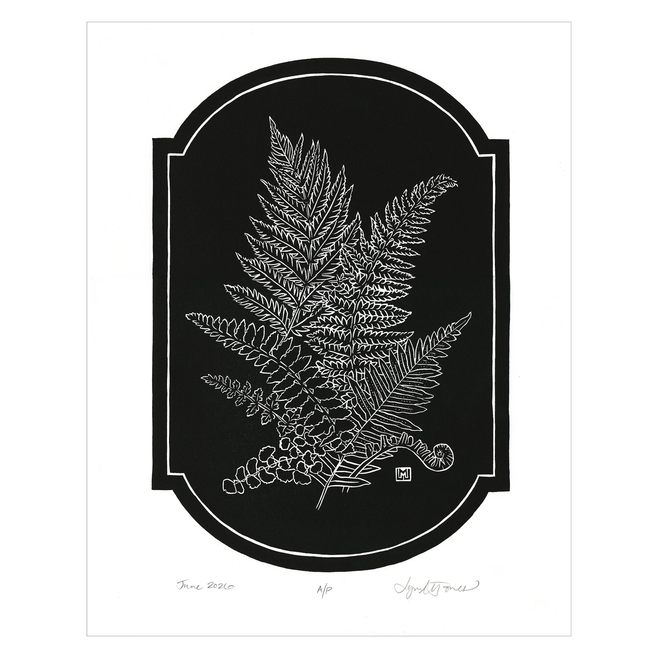 ferns vignette SQ.jpg