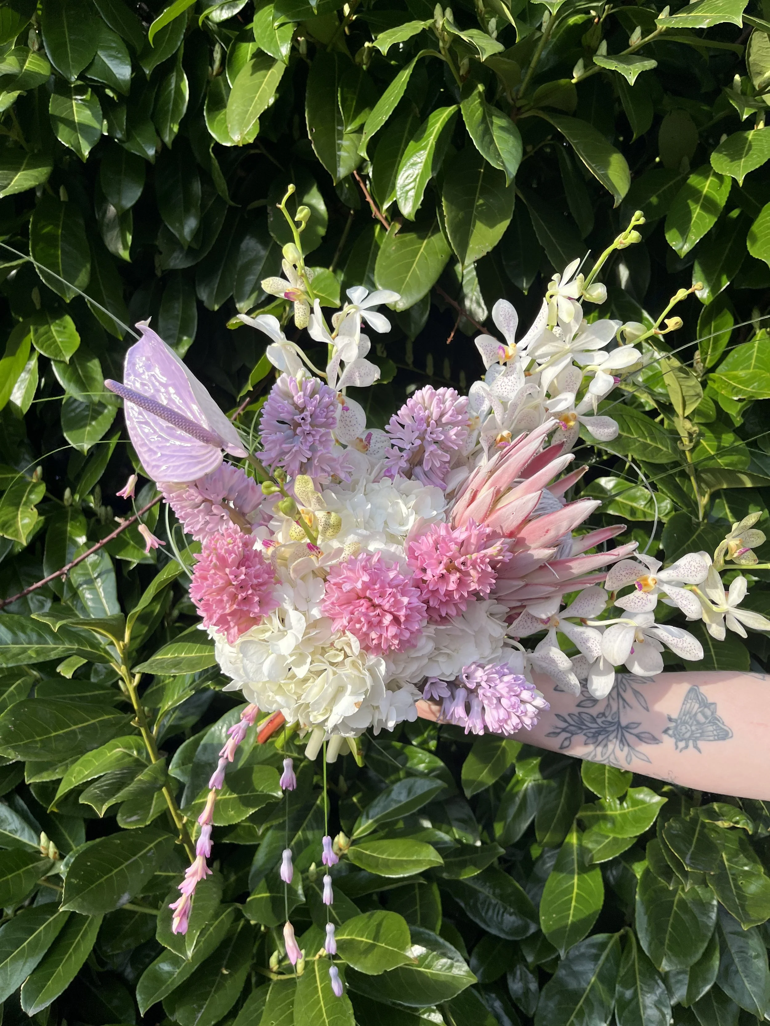 Pink and Purple Flowers in Seattle