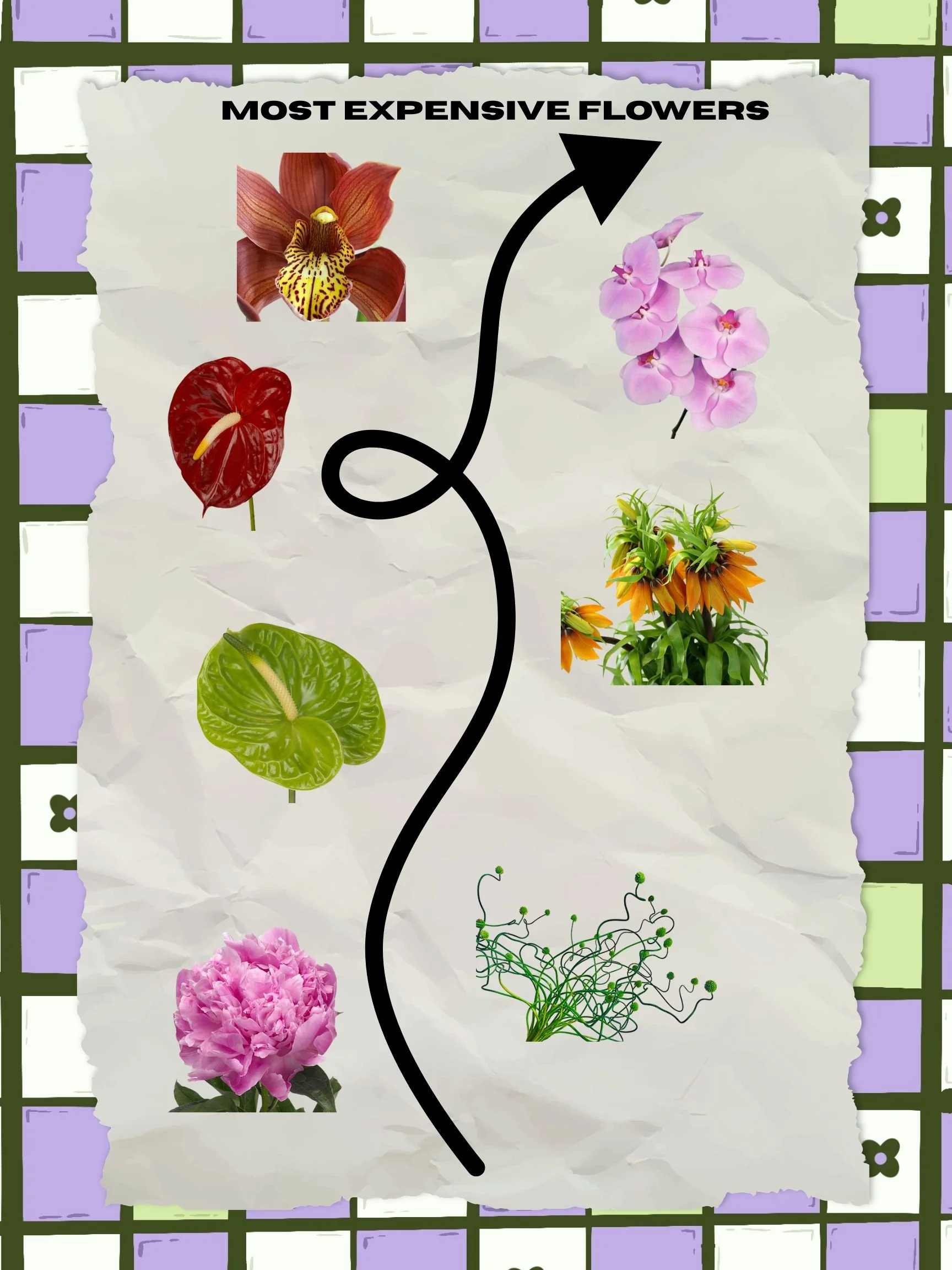 Do I have champagne taste?