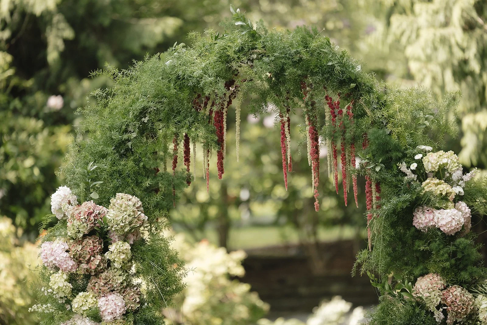 📸 Alexandrae Photo