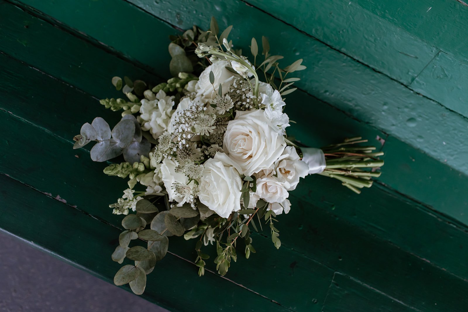 📸 Megan Christine Studio