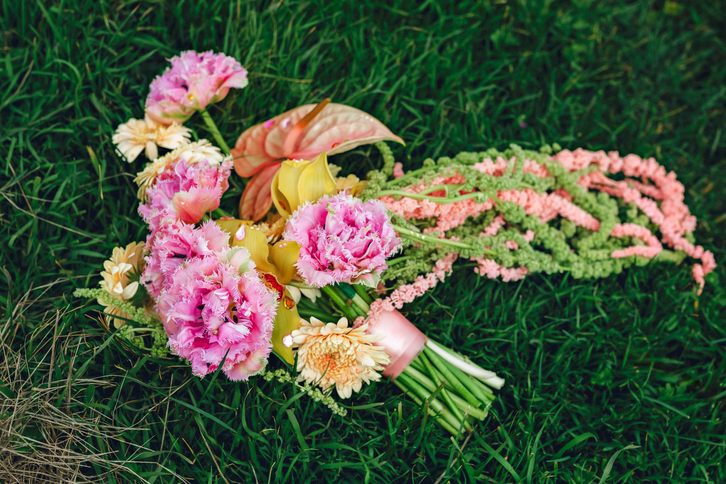 📷 Lindsae Dale