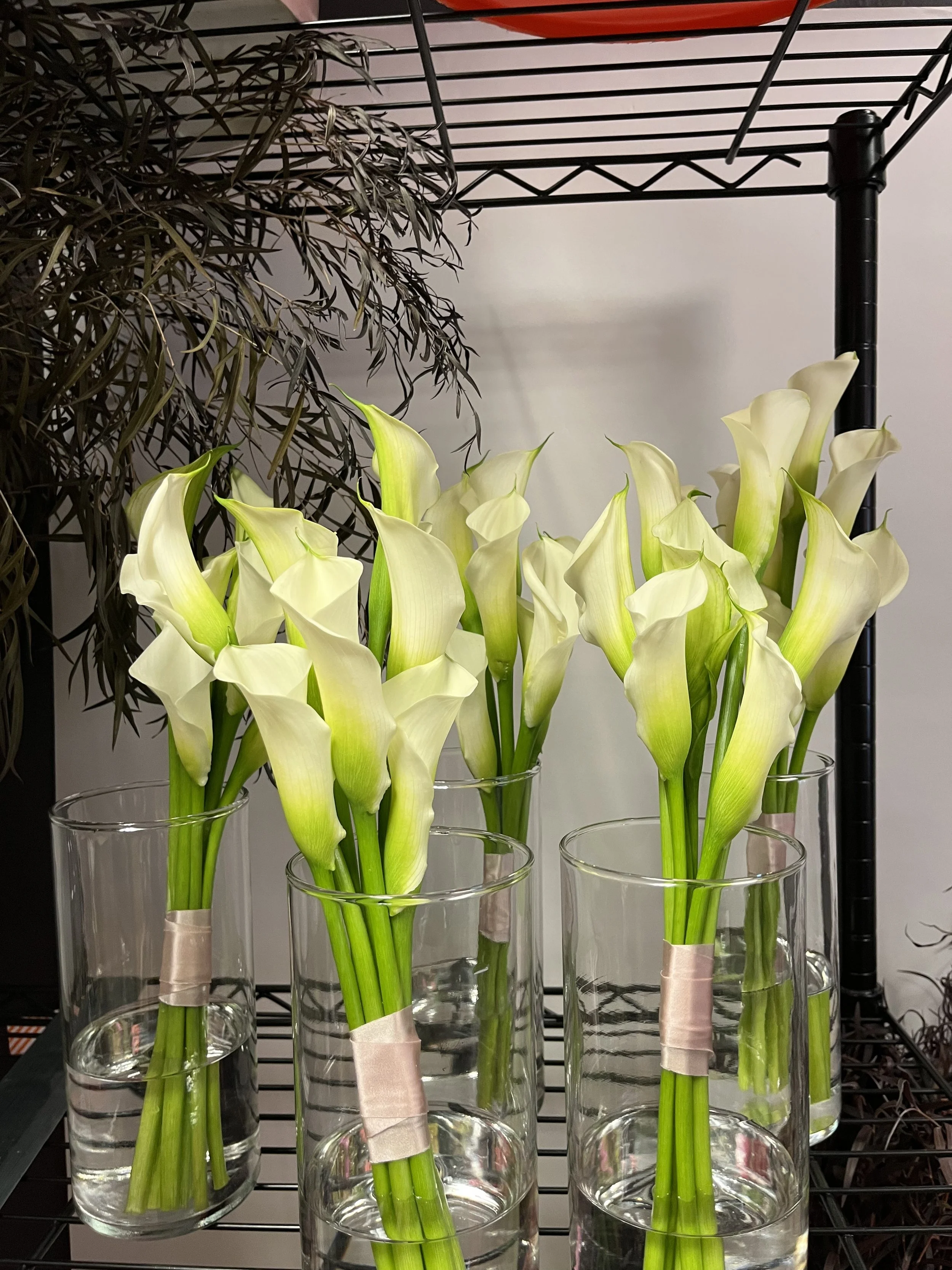 Chrissy R - Wedding Retainer