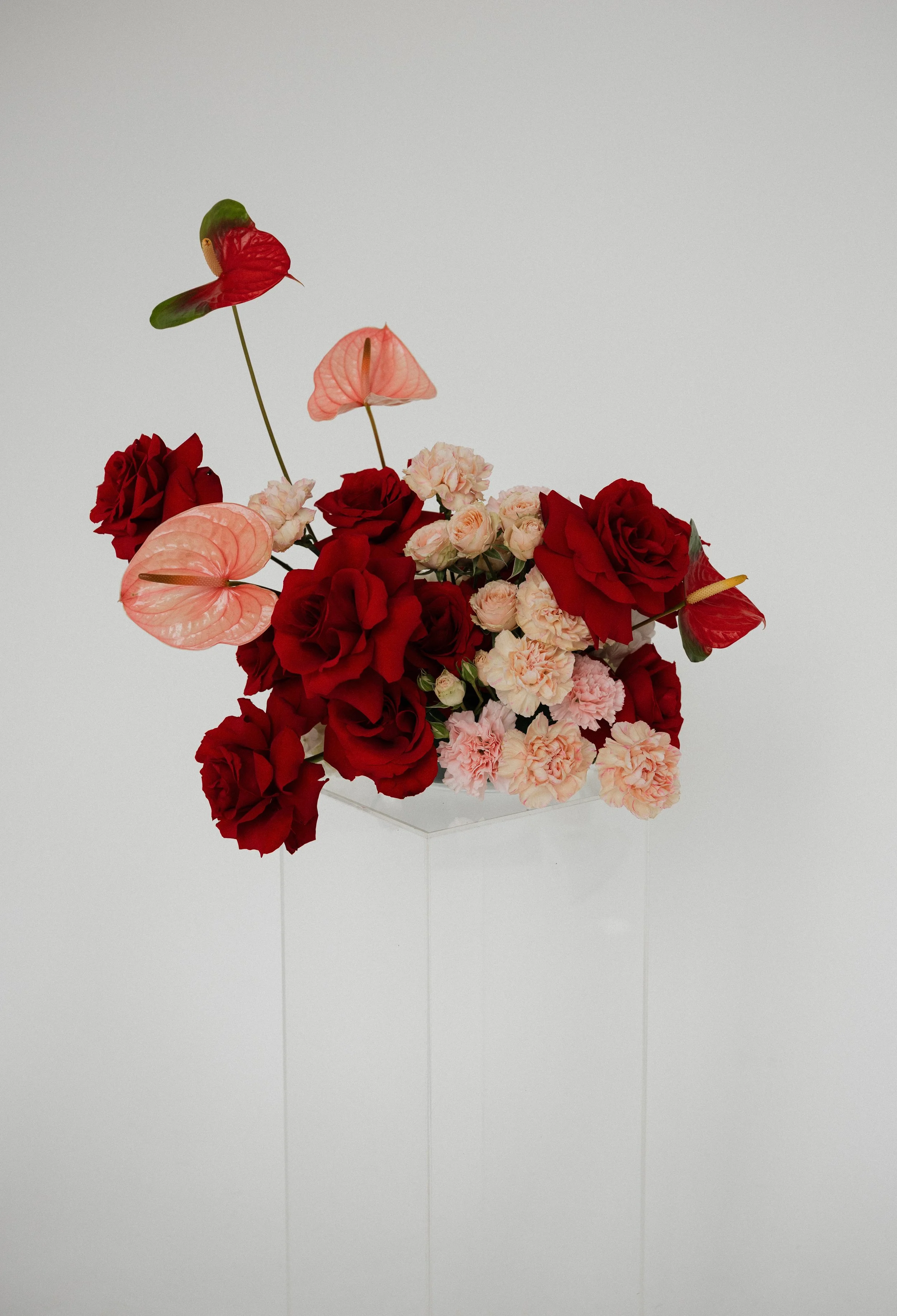 Payton May Photography