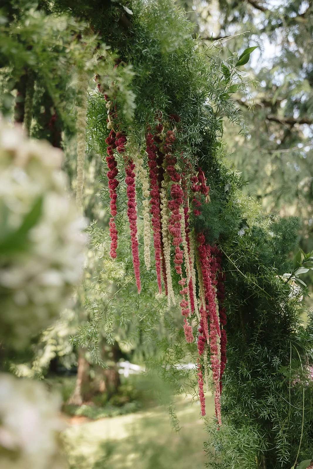 📸 Alexandrae Photo