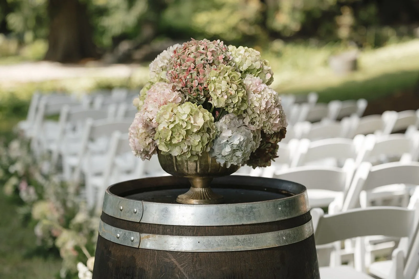 Hydrangea Arrangement
