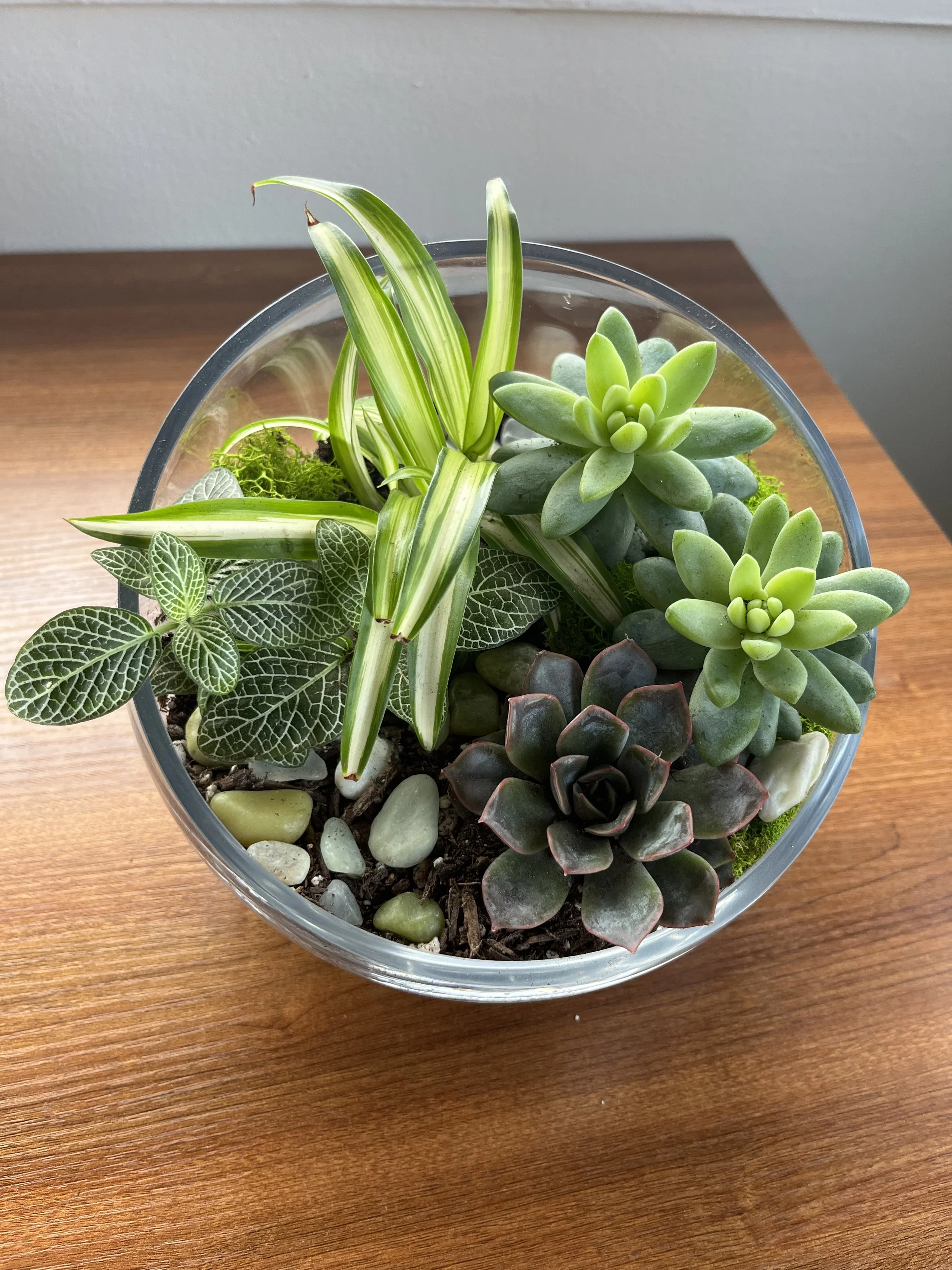 A glass bowl with a variety of succulents and small decorative rocks on a wooden surface.