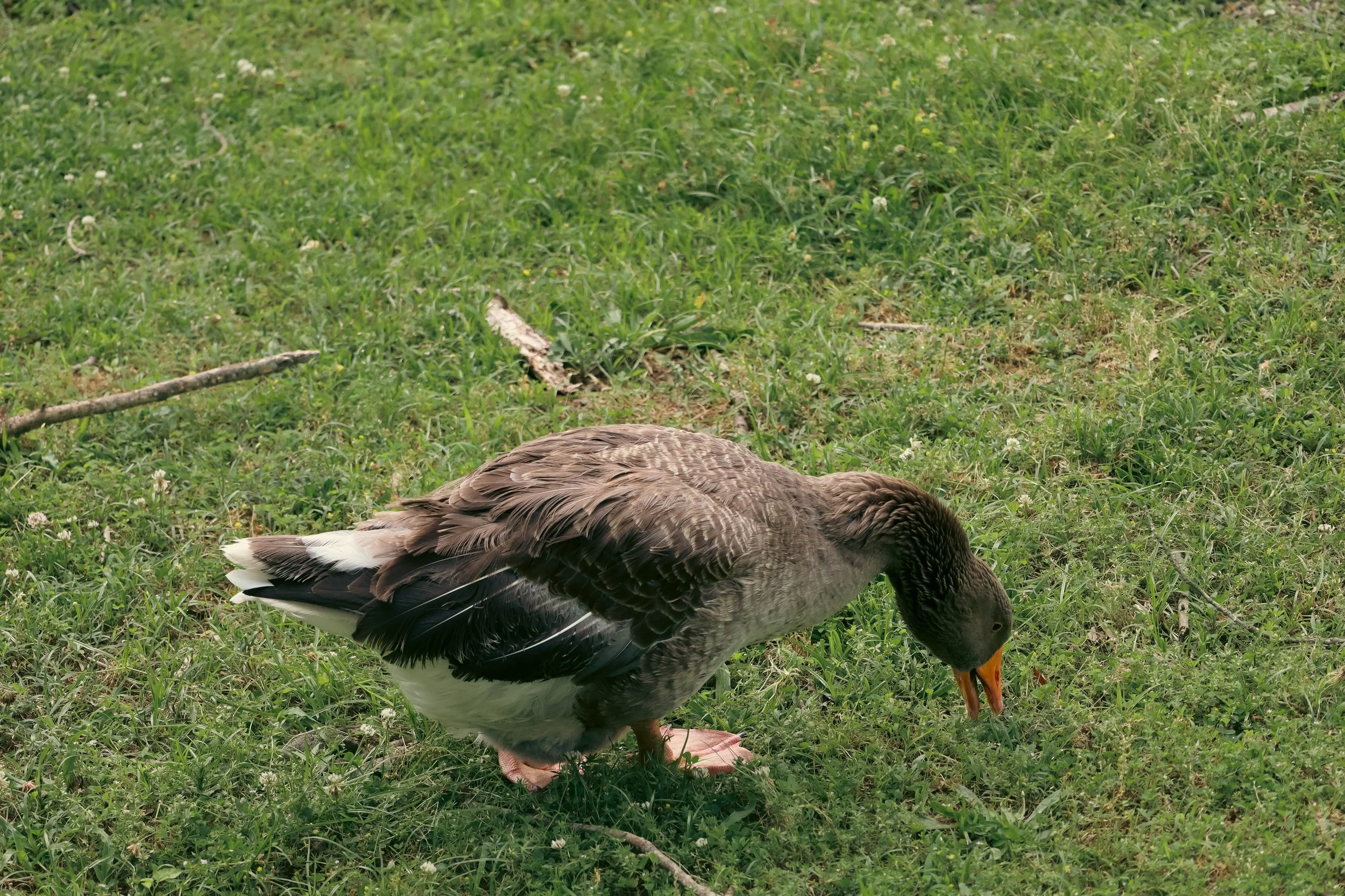 IMG_0398.jpg