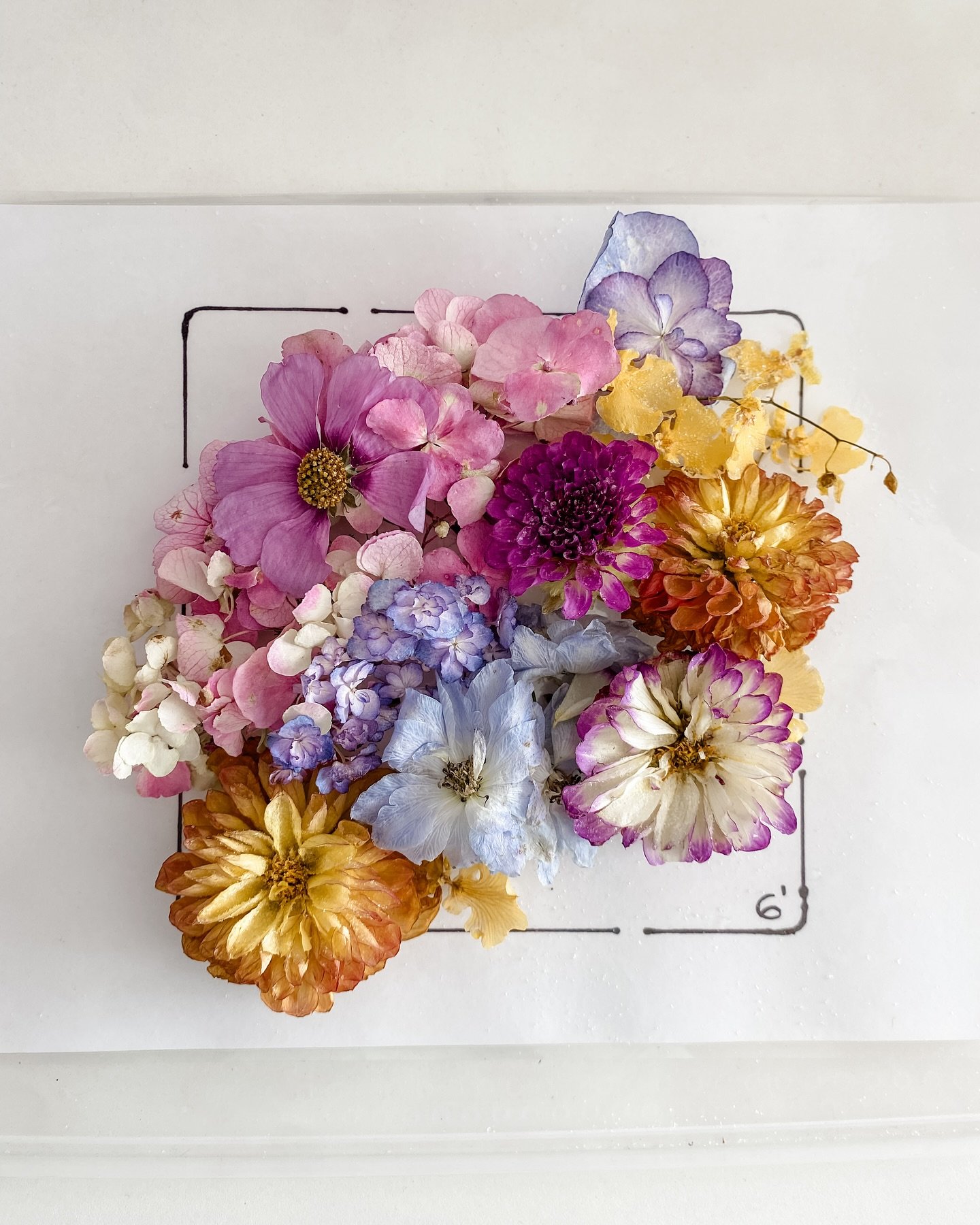 A series of design proofs&hellip;approved ✔️

Each bride is unique, and each bouquet reflects their individuality. 

Your Bouquet Preservation will be truly unique to you, always..🤎
.
.
.
 #driedflowerbouqet #pressedflowersmelbourne #memorialflowers