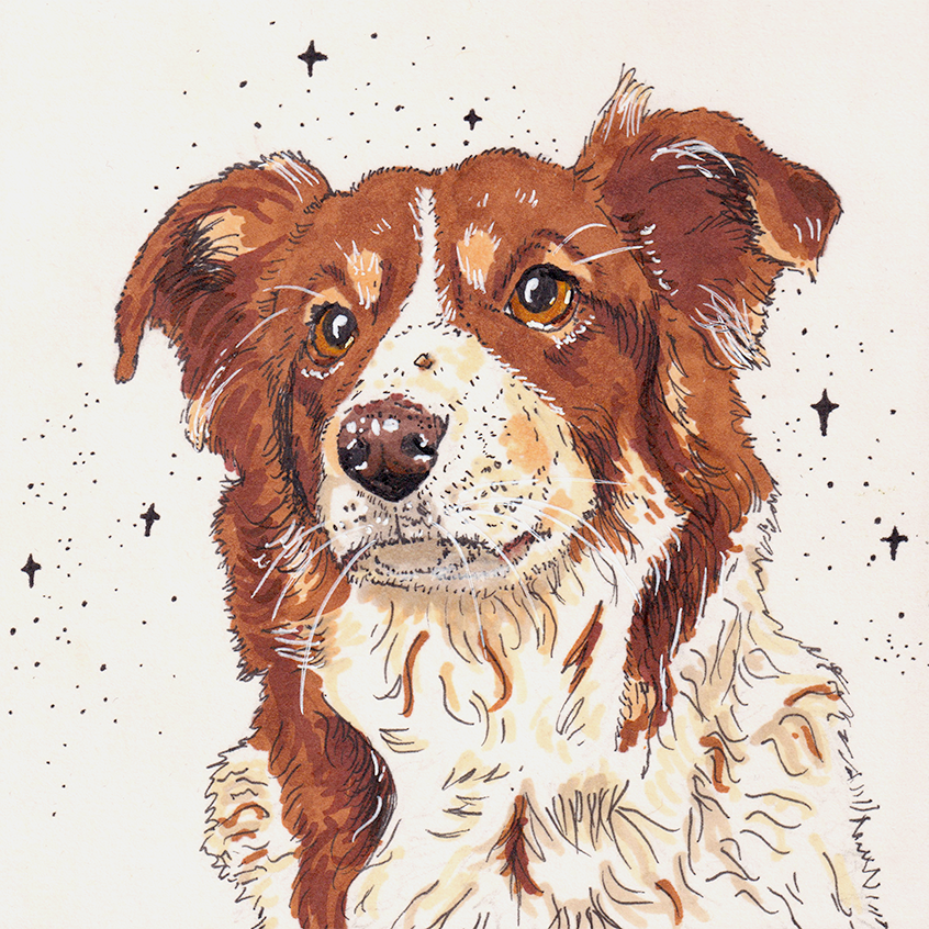 Baylee 1_cropped-02.png