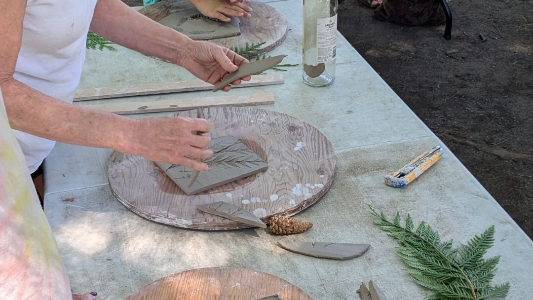 Pottery with Plants