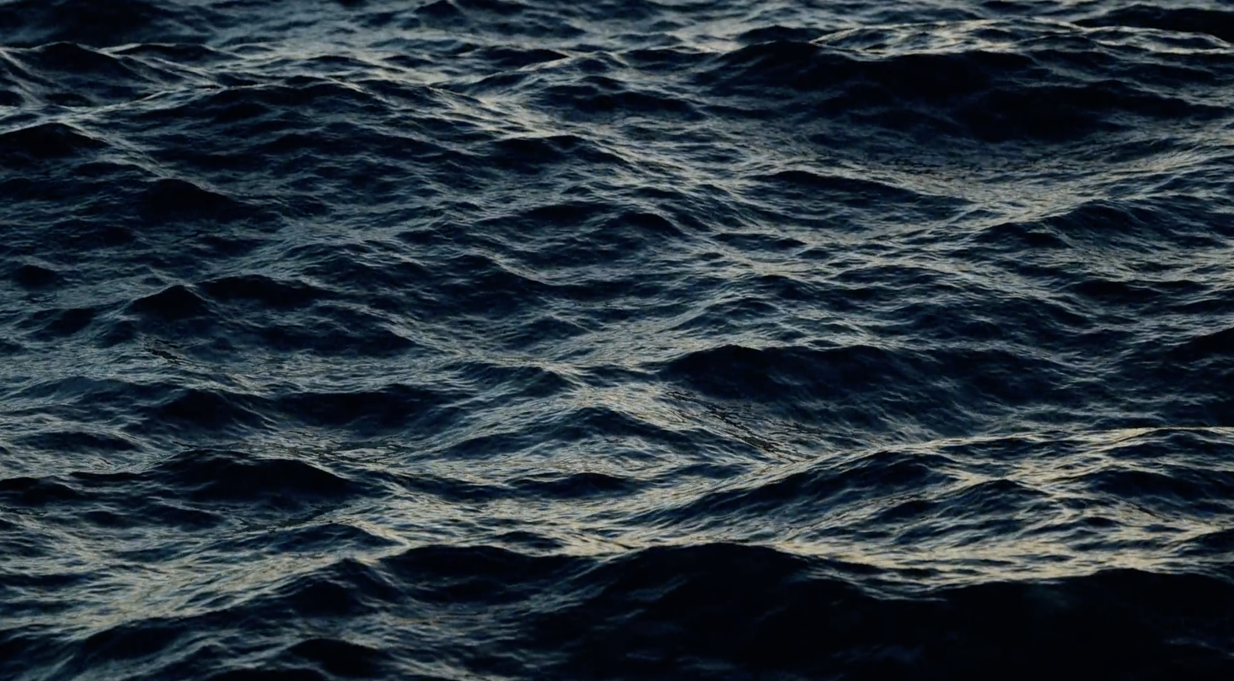 Screen Shot 2022-08-17 at 9.41.07 PM.png