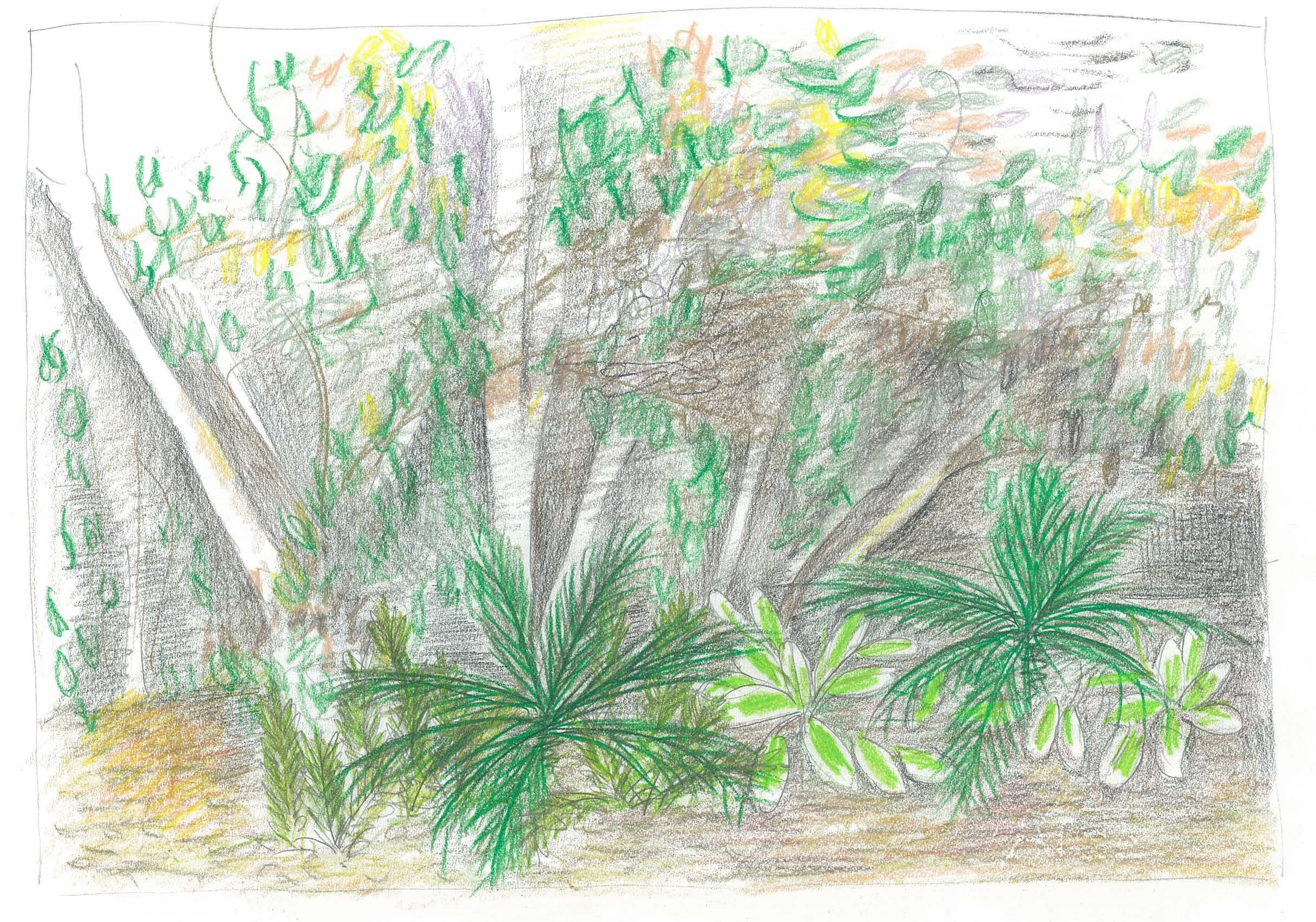 screening sketch.jpg