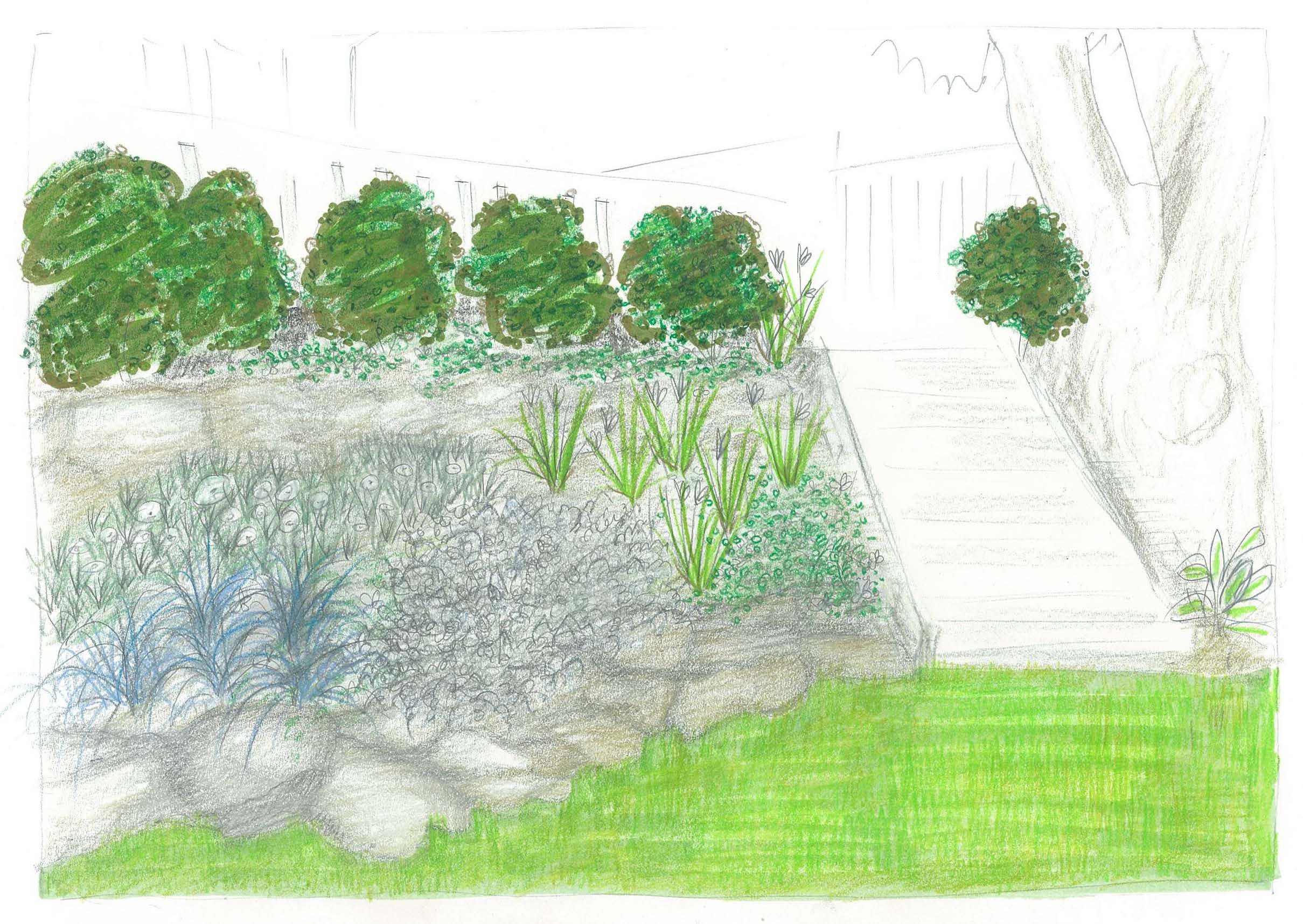 rockgarden.sketch.jpg