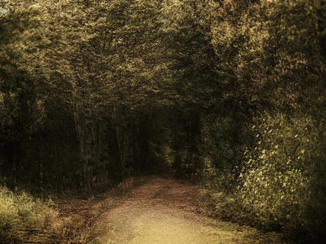 Aug 26 2026_3.jpg