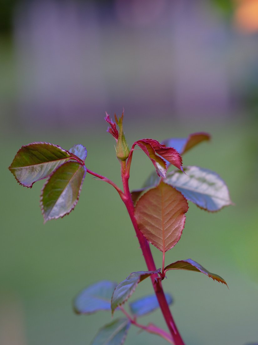 Jun 14 2025_4.jpg