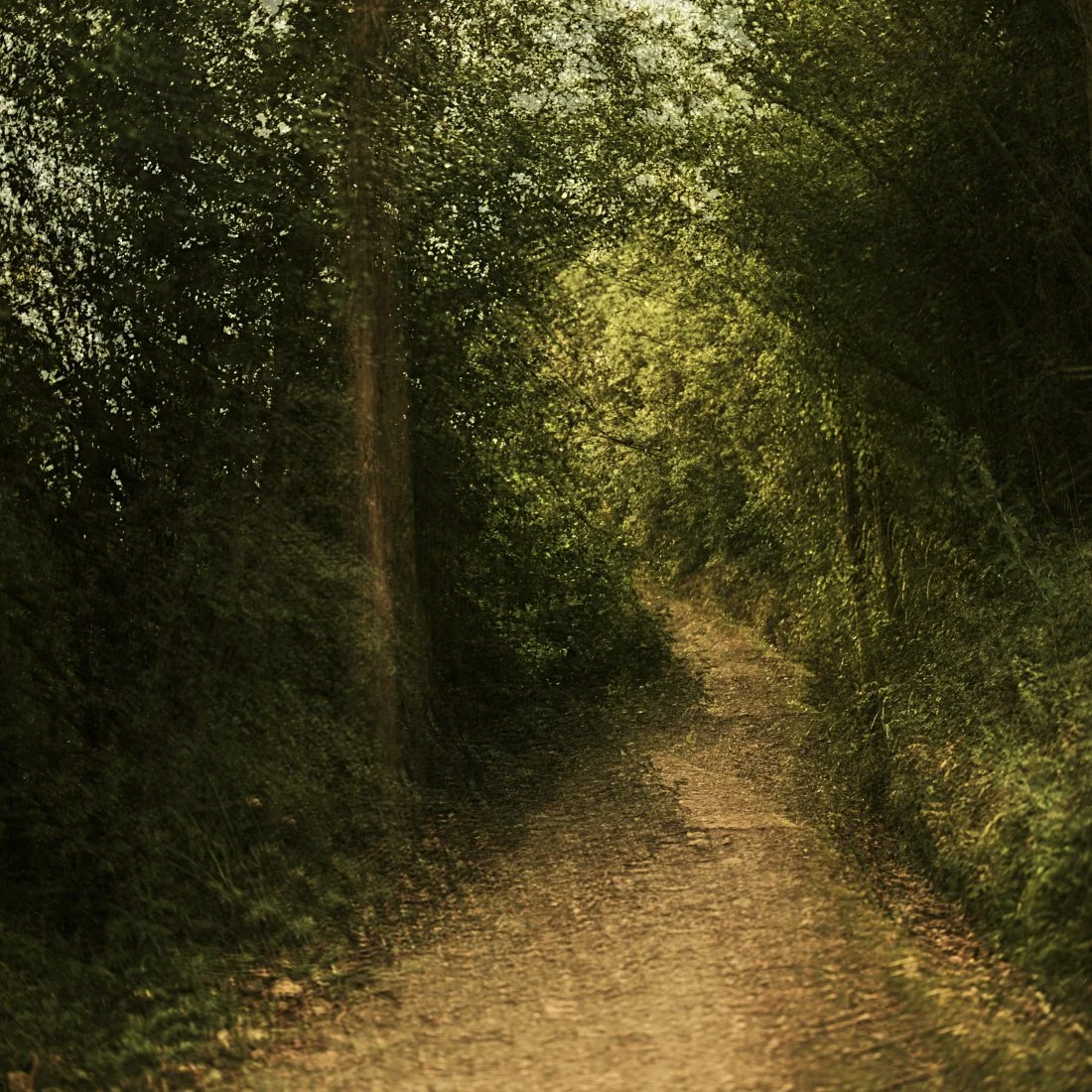 Aug 26 2026_7.jpg