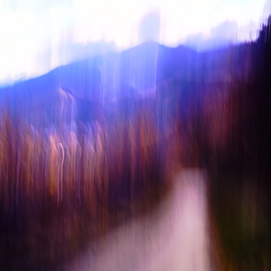 Jun 17 2025_5.jpg