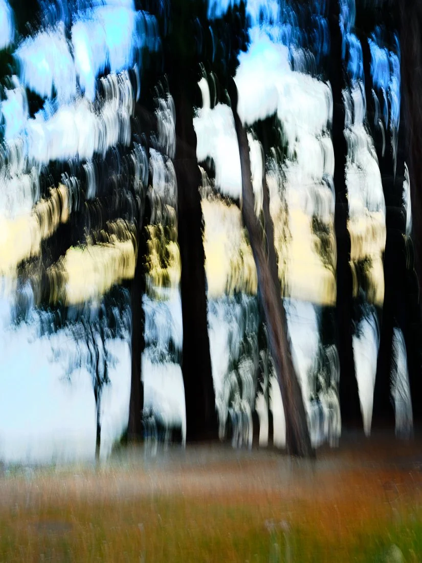 Jun 14 2025_5.jpg