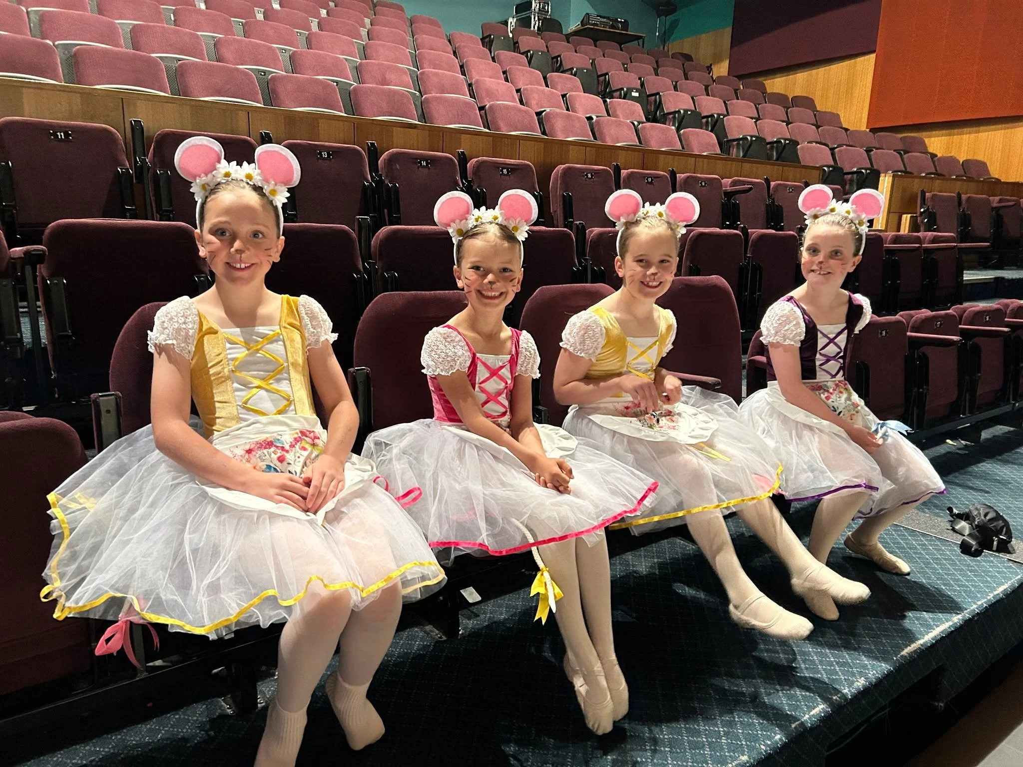 Our Town and Country Mice! 🐭🩷