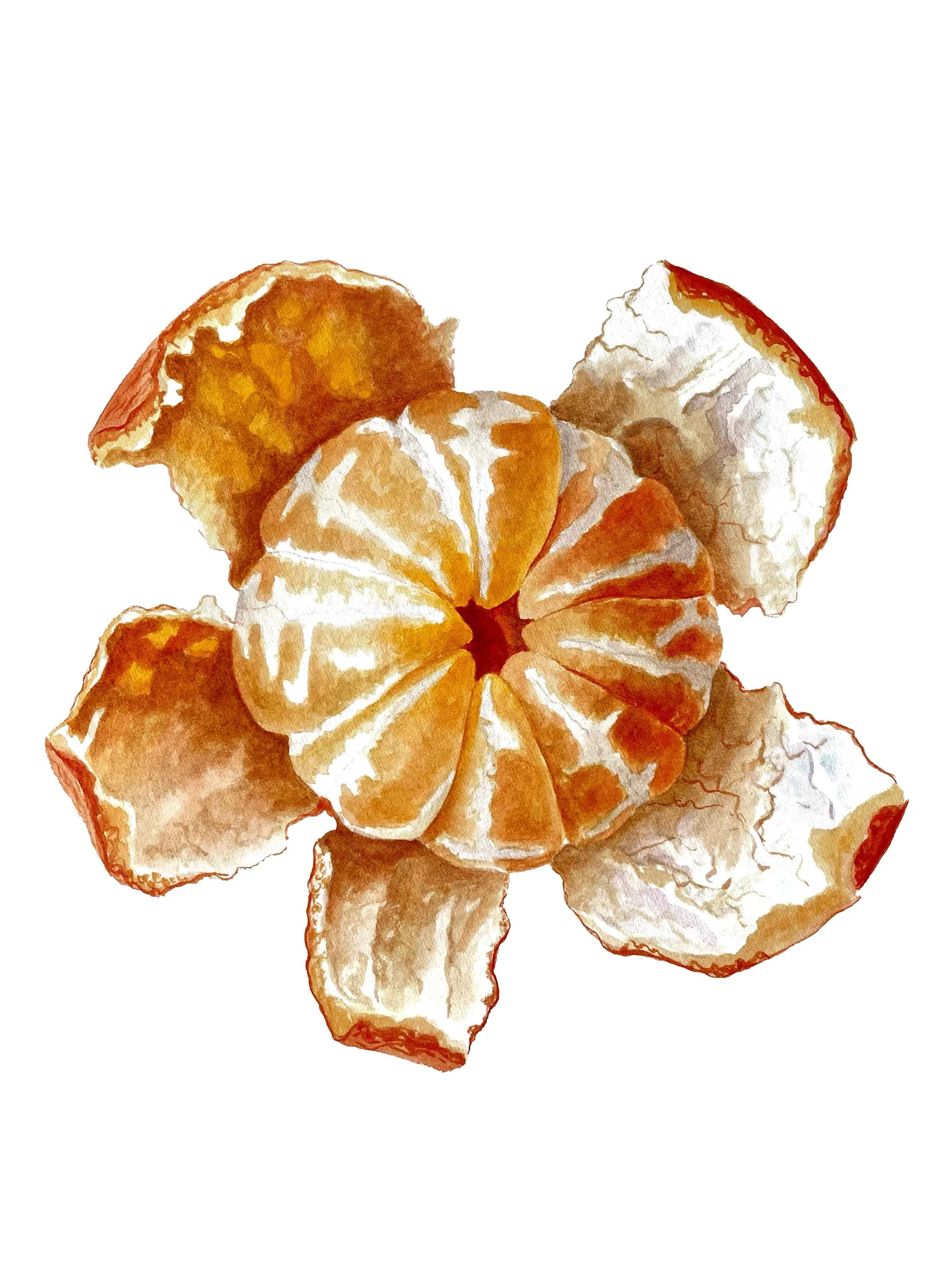 Mandarine Paper Print