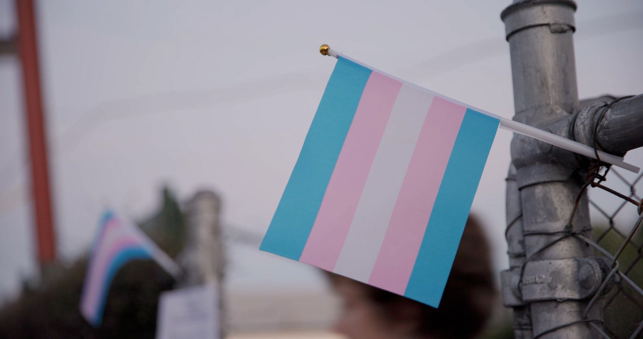 Trans pride flag on a fence (Copy)