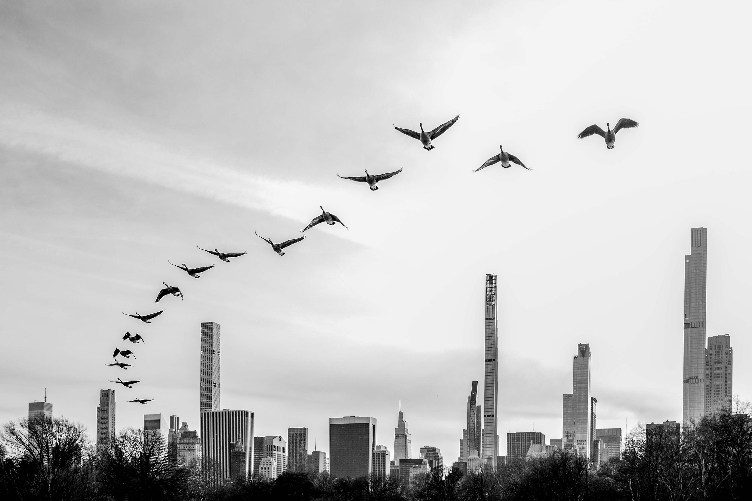 Slawo Urban Photographer - Leica Photographer.jpg