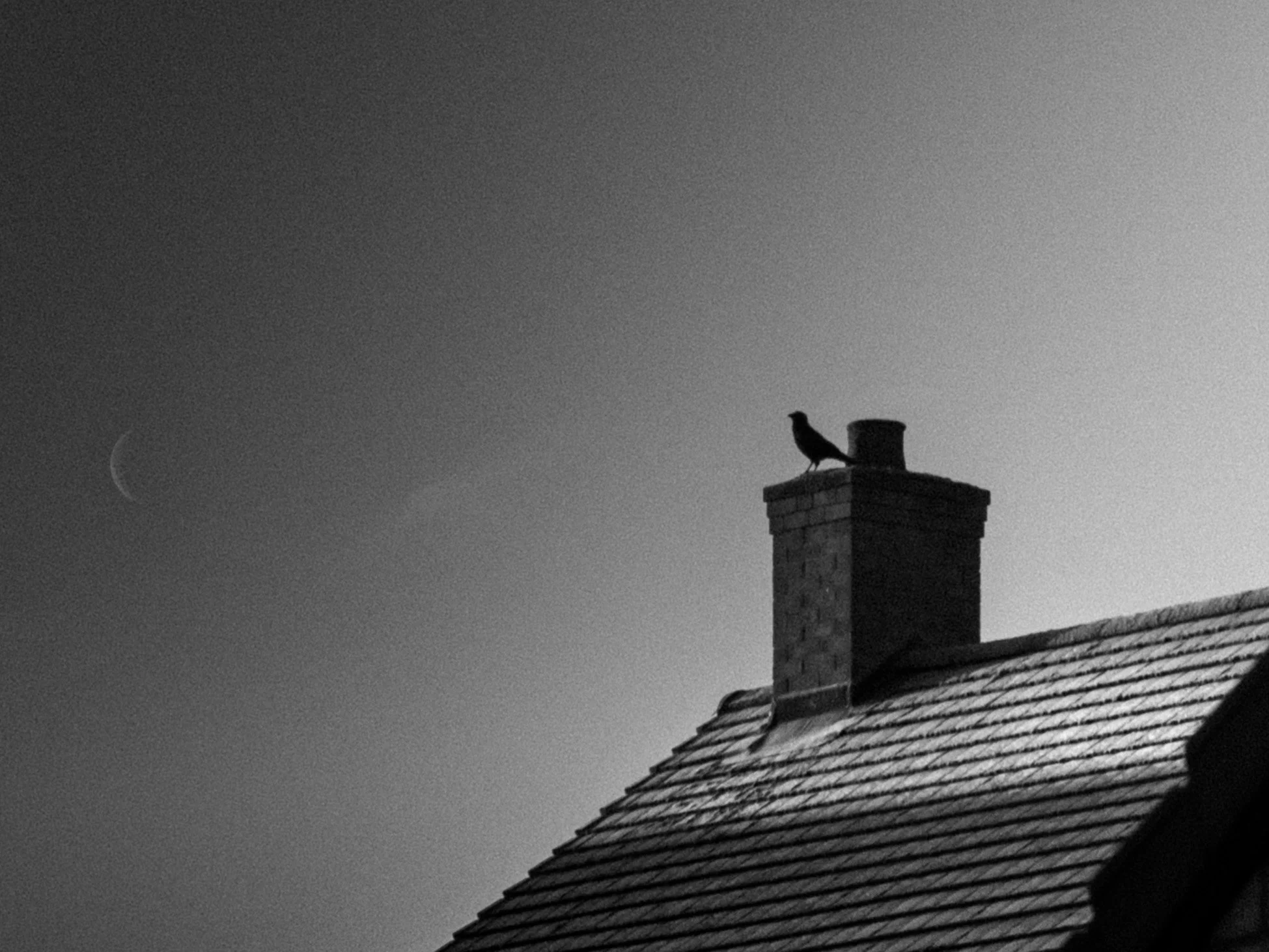 Slawo Urban Photographer - Leica Photographer-6.jpg