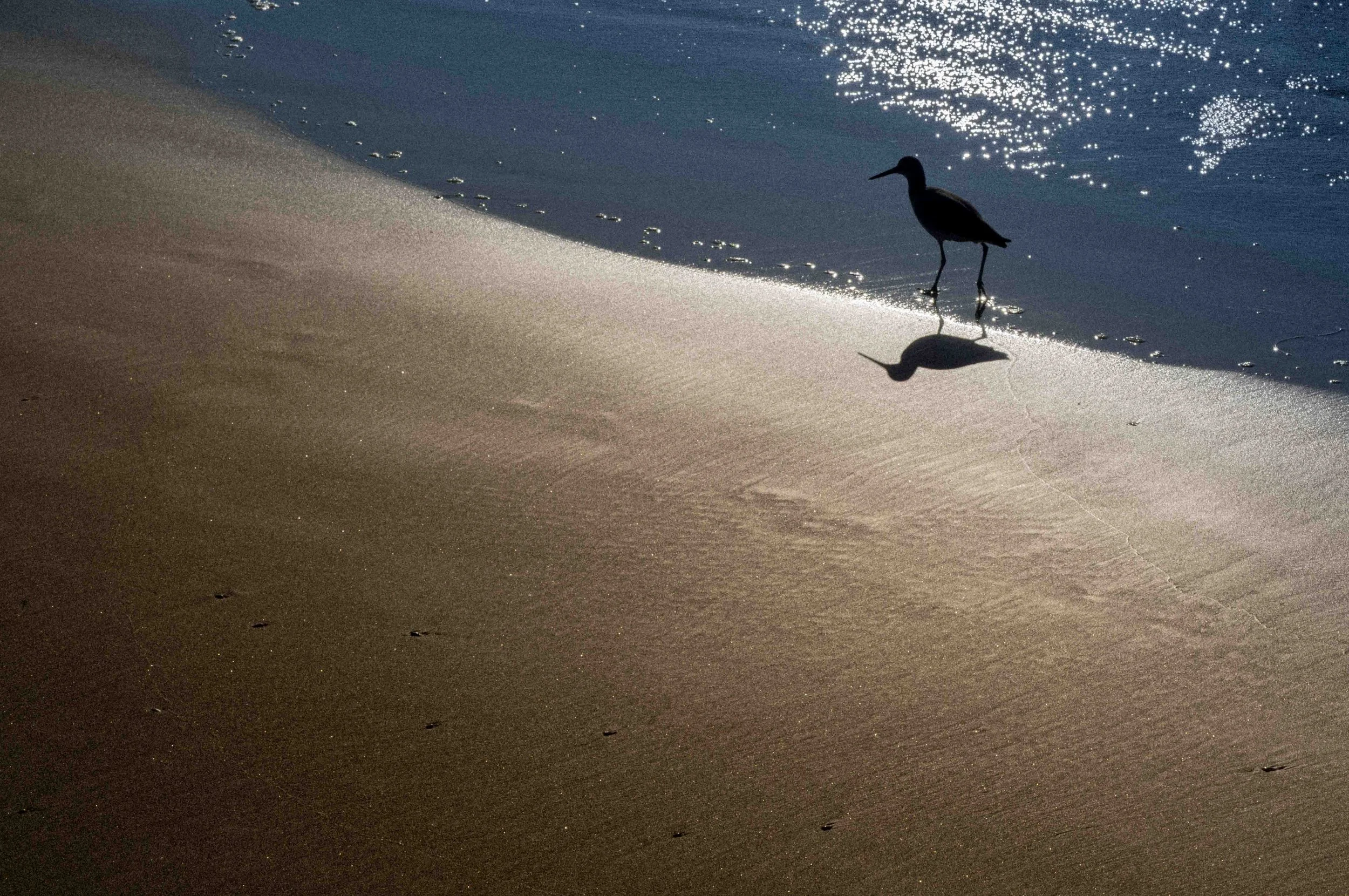 Slawo Urban Photographer - Leica Photographer-34.jpg