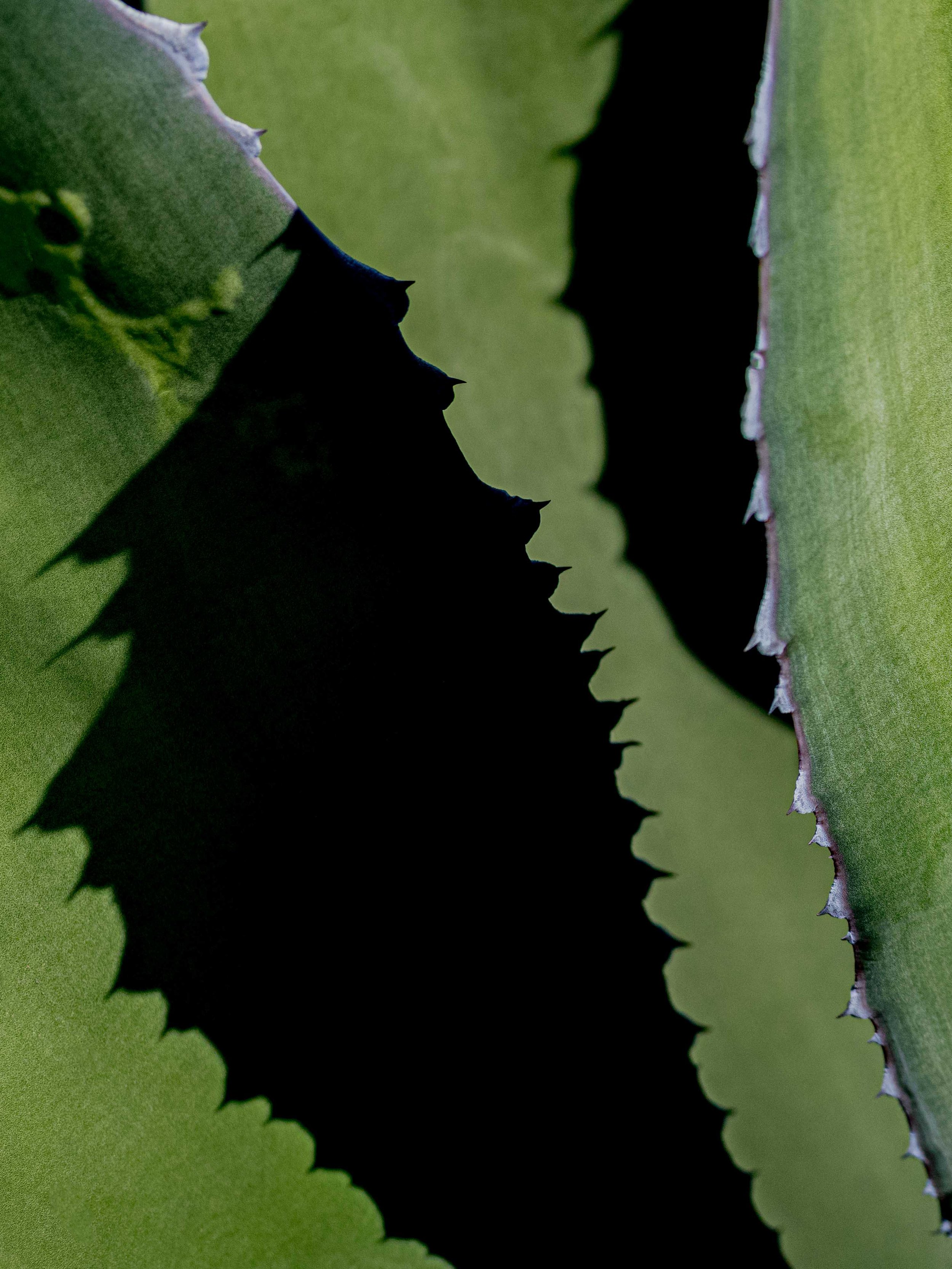 Slawo Urban Photographer - Leica Photographer-31.jpg