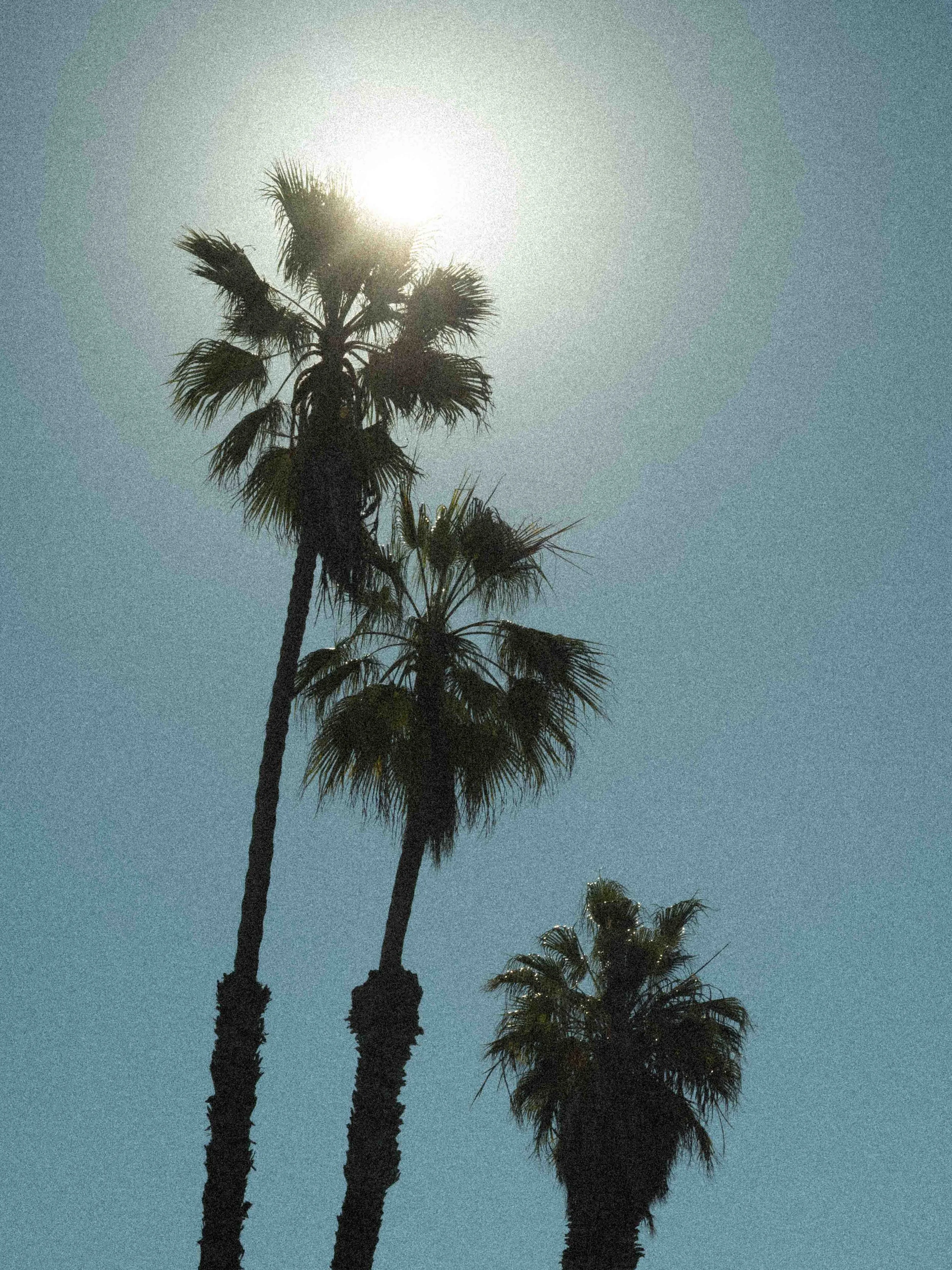 Slawo Urban Photographer - Leica Photographer-29.jpg