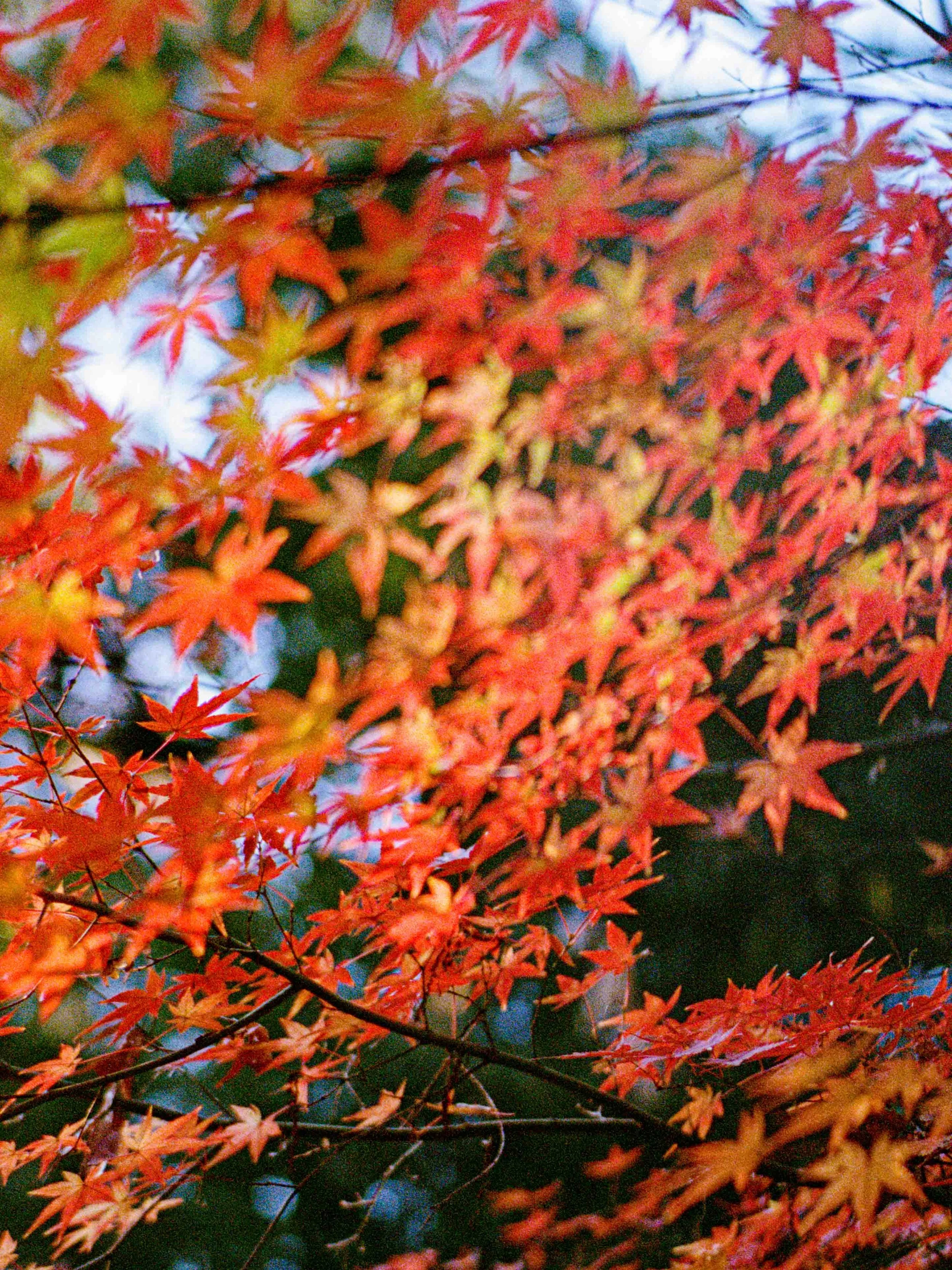 Slawo Urban Photographer - Leica Photographer-4.jpg