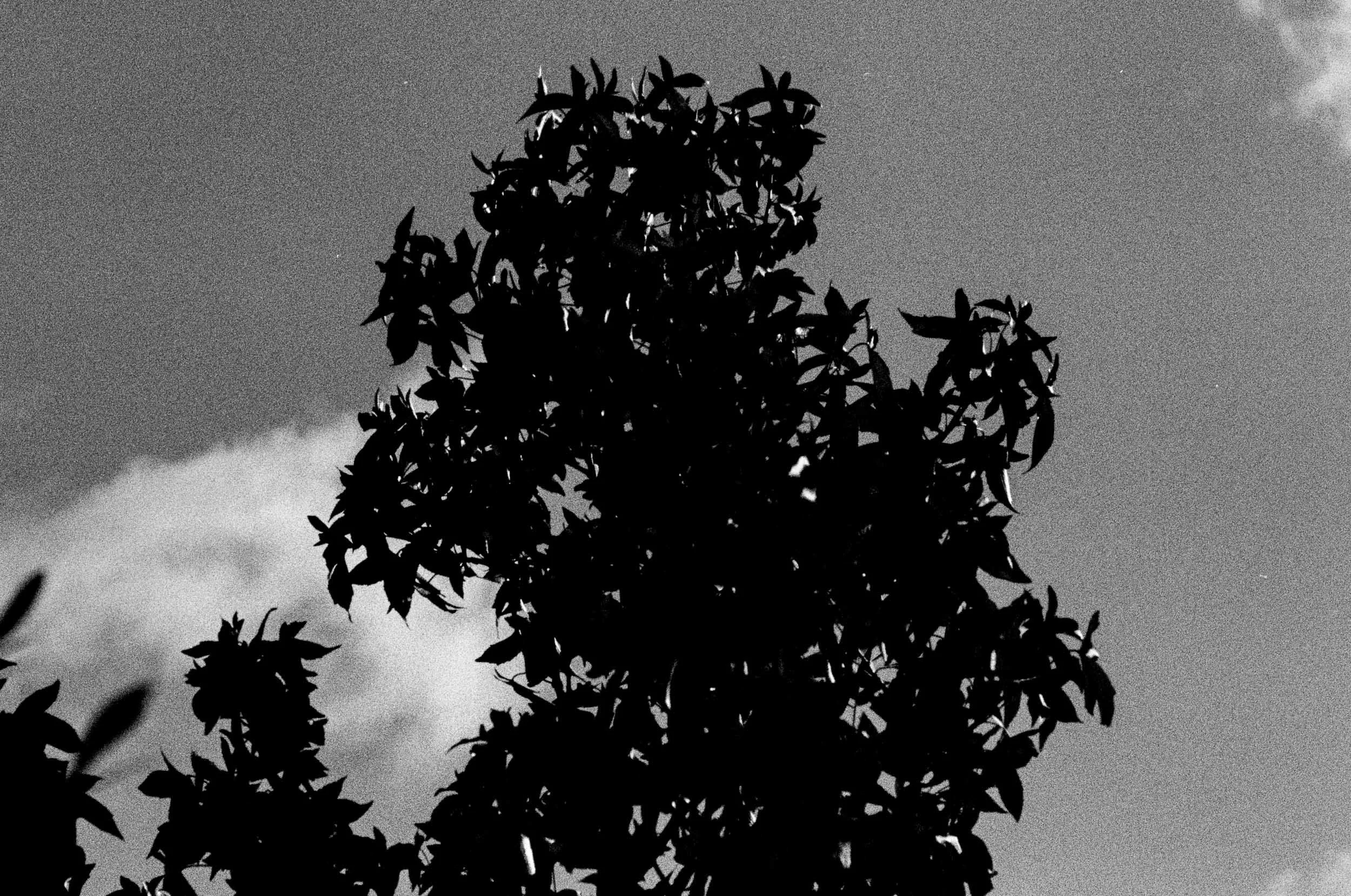 Slawo Urban Photographer-9.jpg