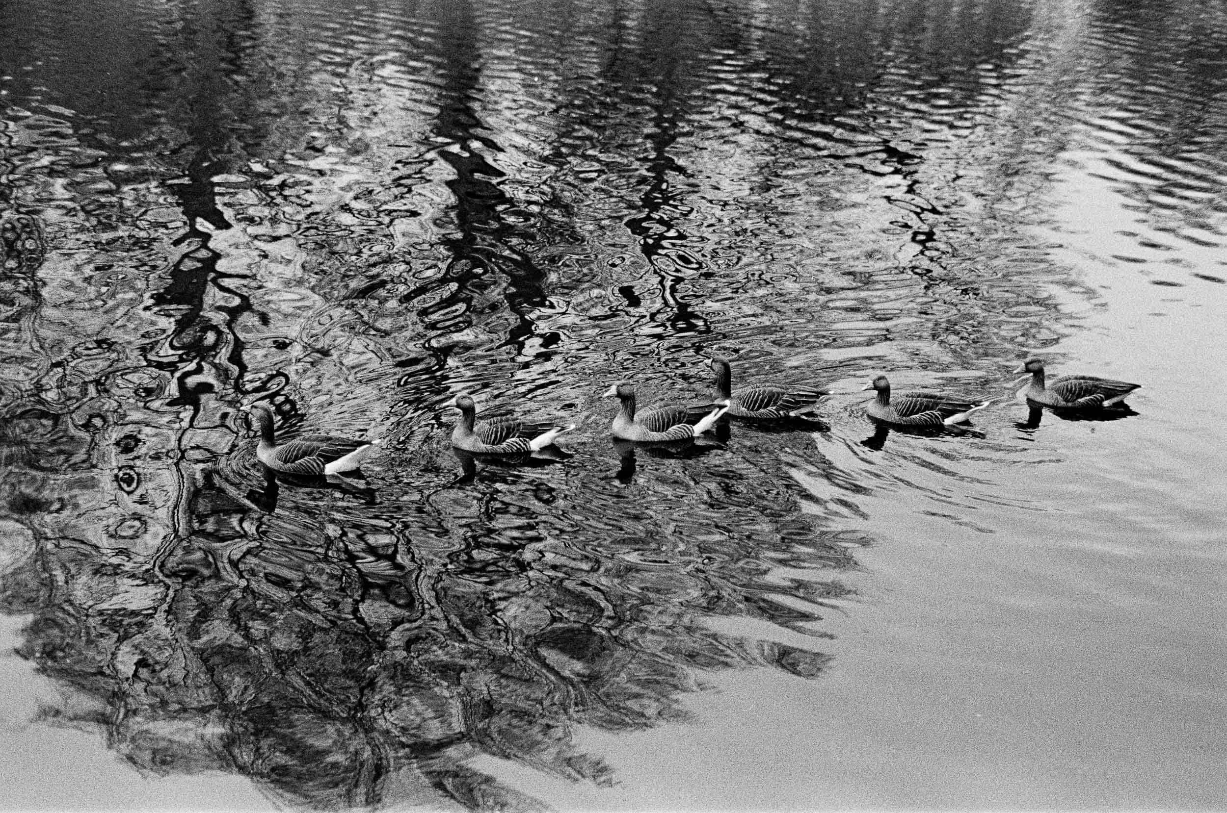 Slawo Urban Photographer-7.jpg