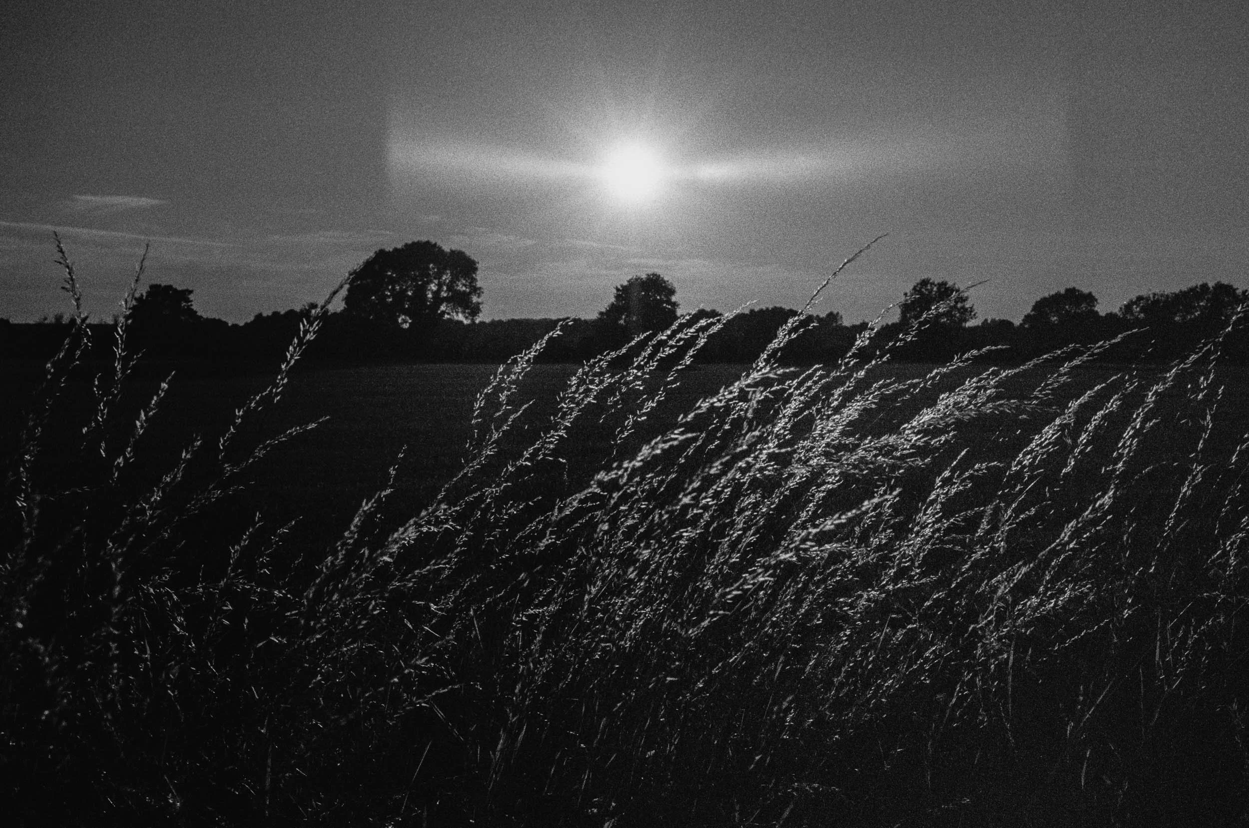 Slawo Urban Photographer-6.jpg