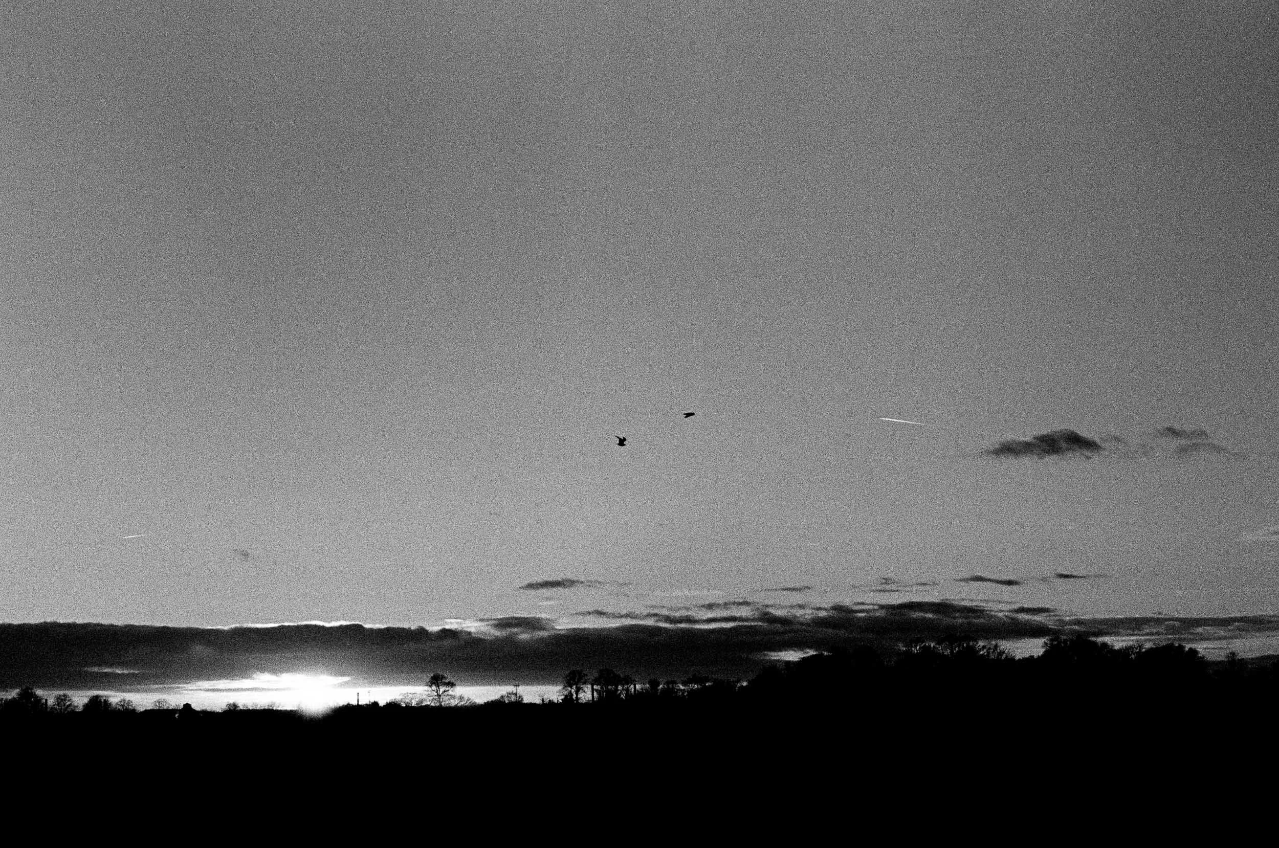 Slawo Urban Photographer-3.jpg