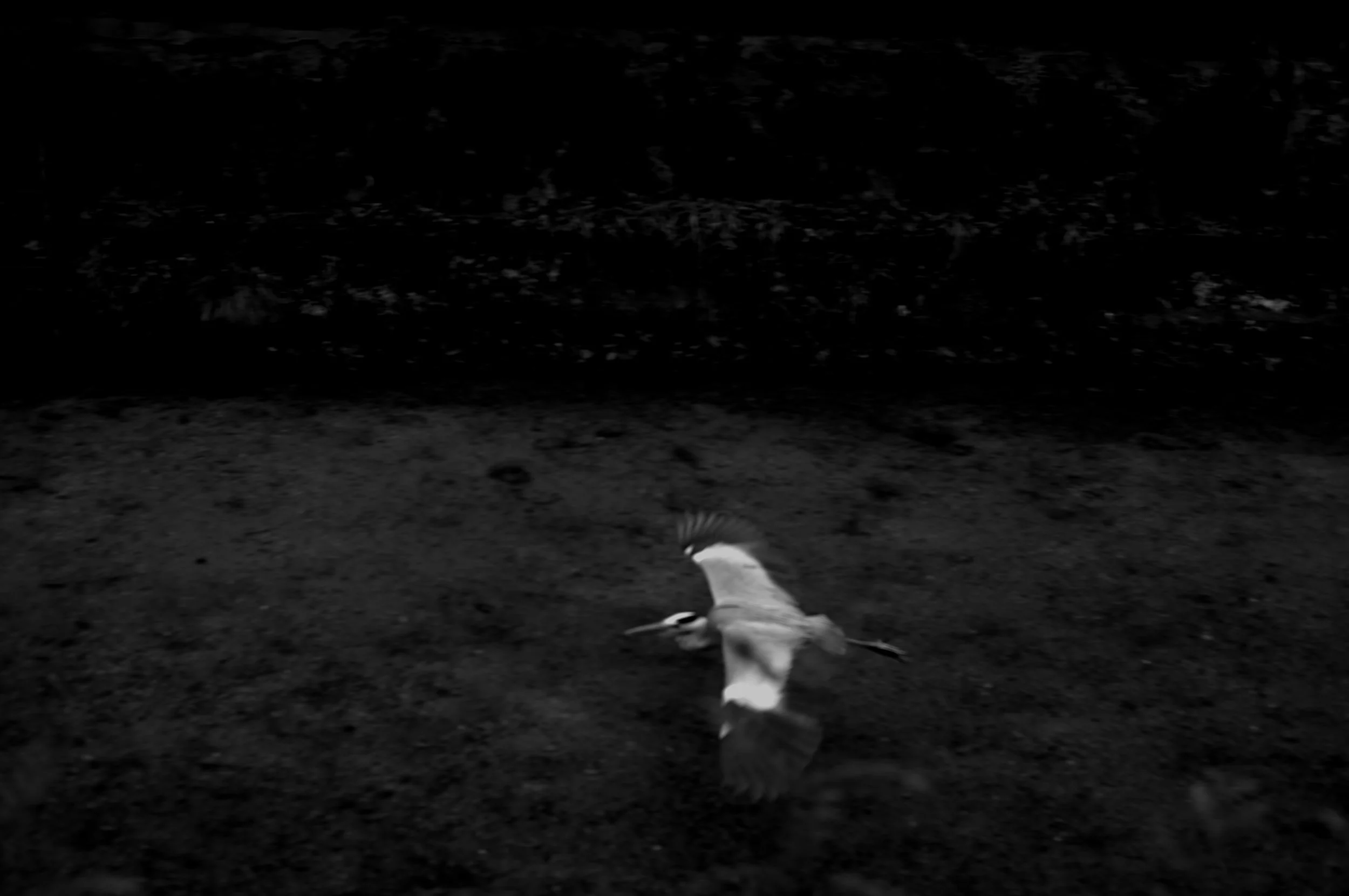 Slawo Urban Photographer-10.jpg