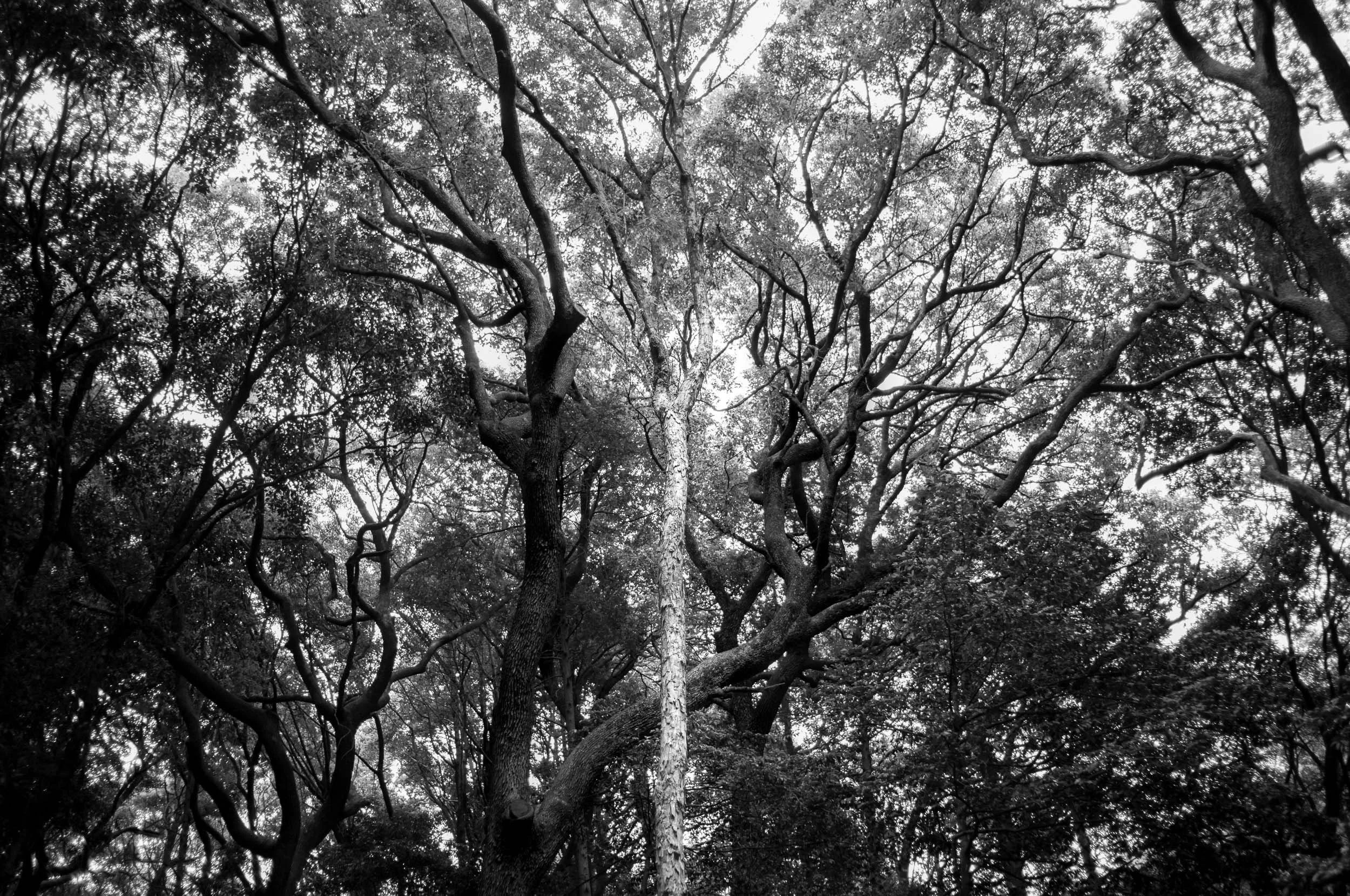 Slawo Urban Photographer - Everything Belongs-4.jpg