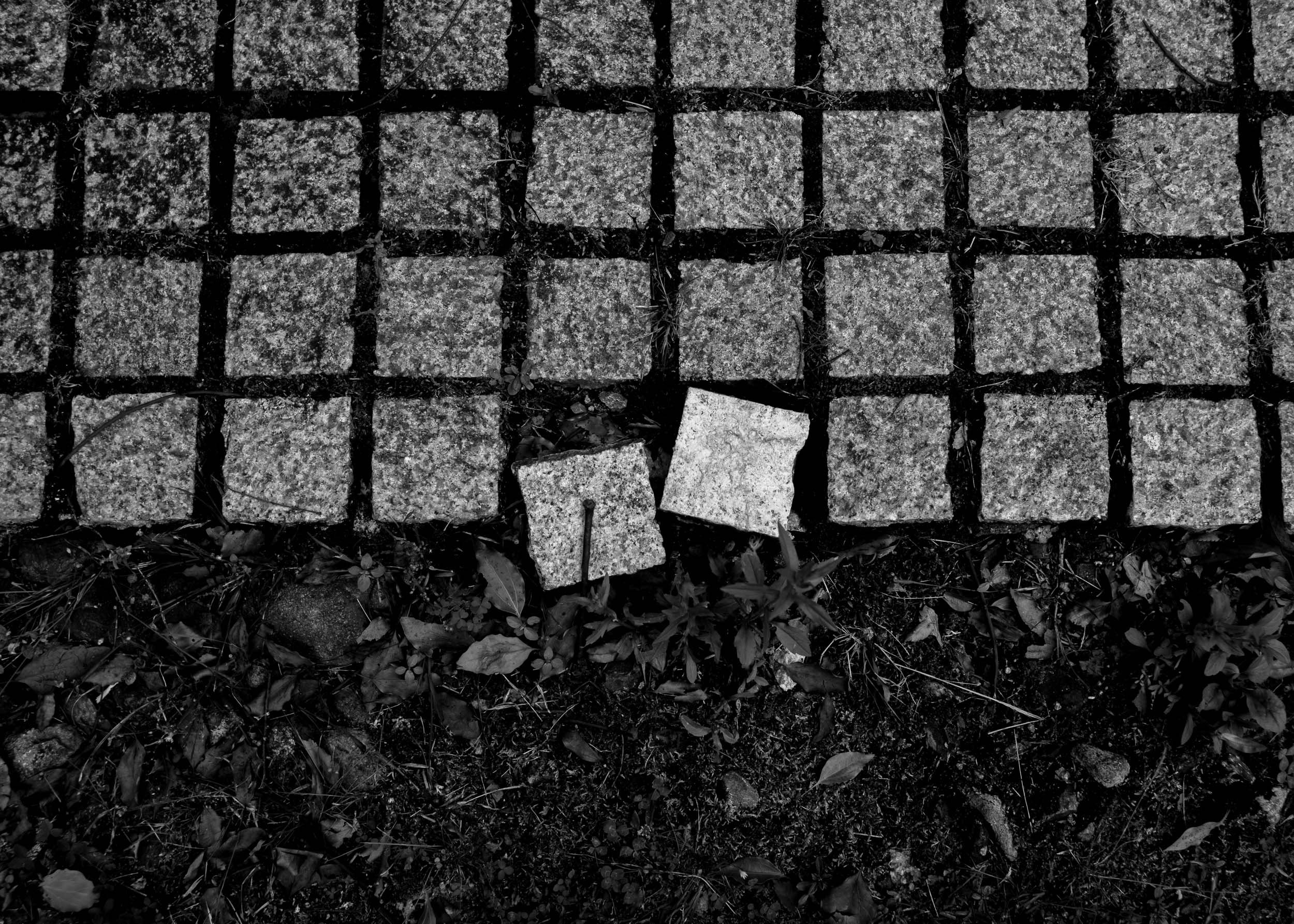 Slawo Urban Photographer - Everything Belongs-10.jpg
