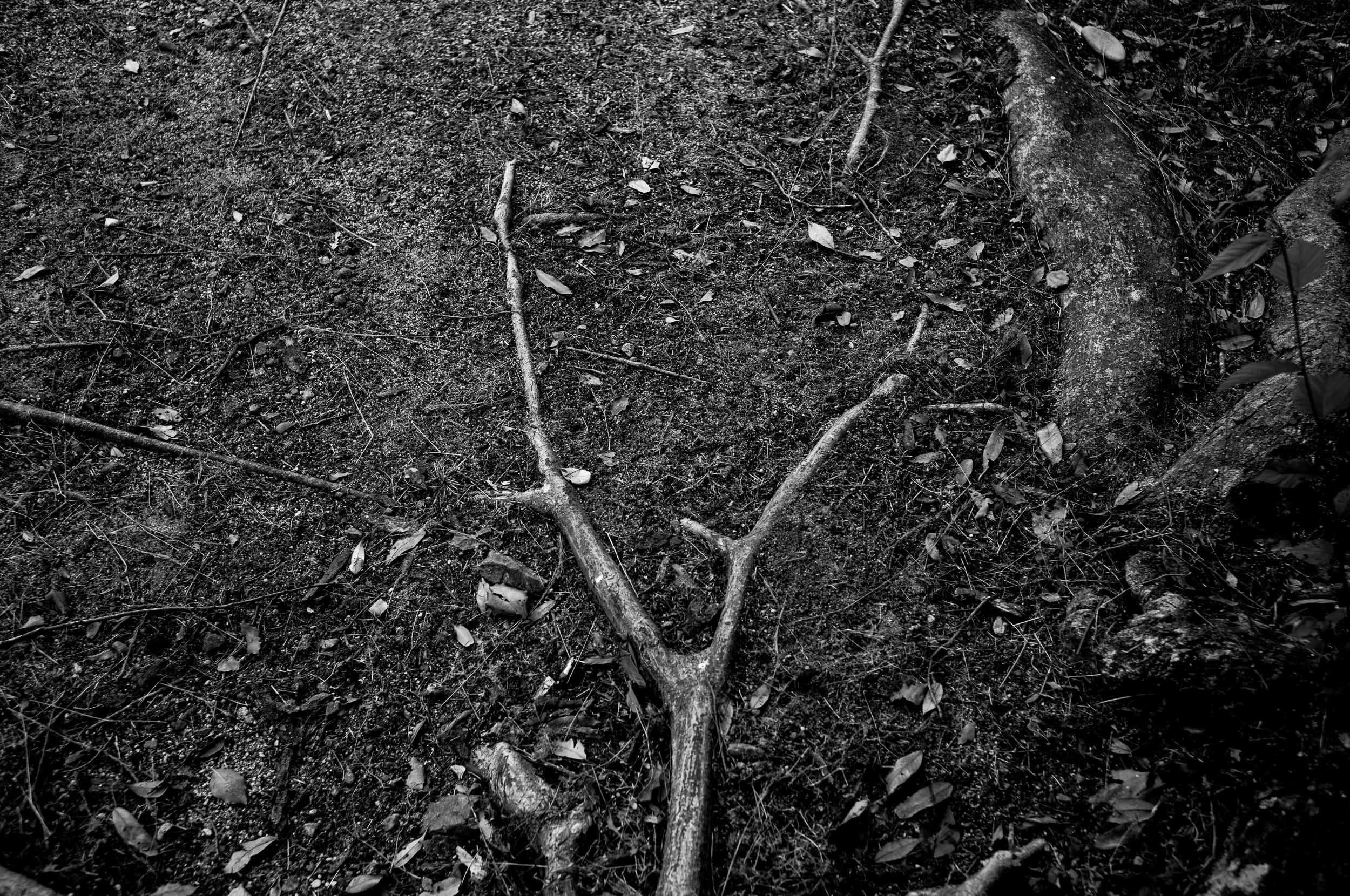Slawo Urban Photographer - Everything Belongs-12.jpg
